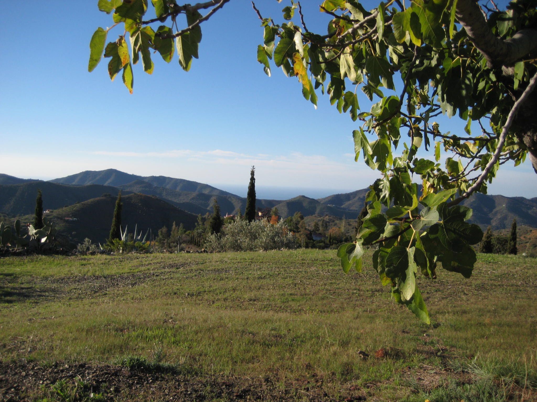 Finca 'Casa Siete Arcos'-Binnen