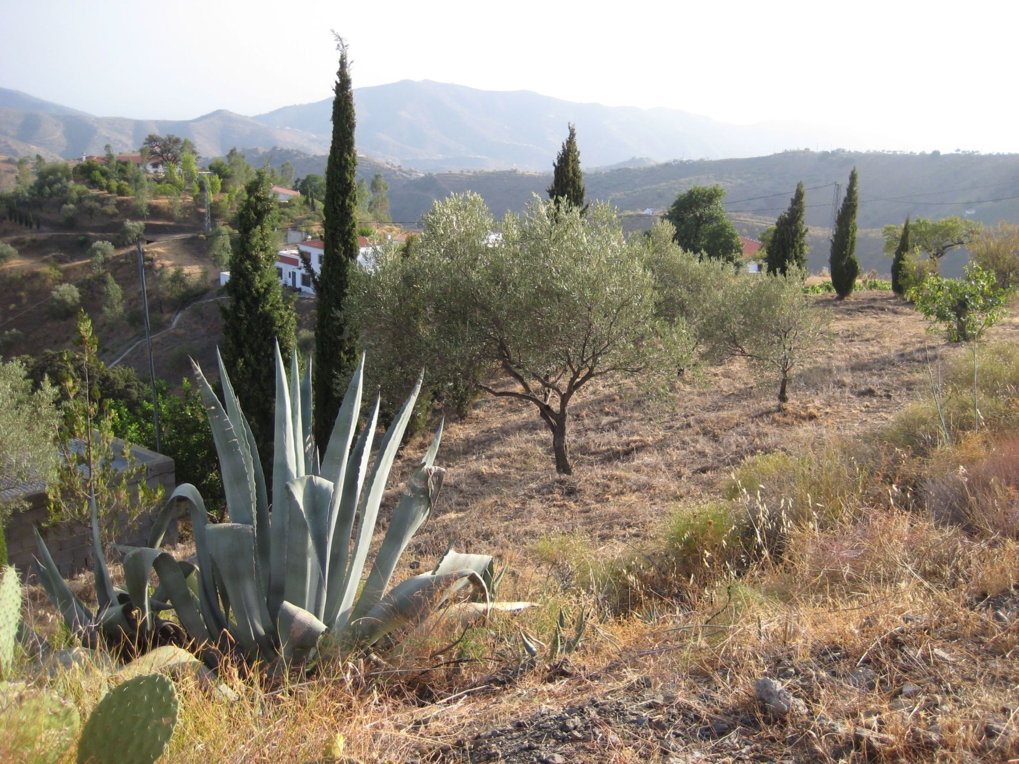 Finca 'Casa Siete Arcos'-Binnen