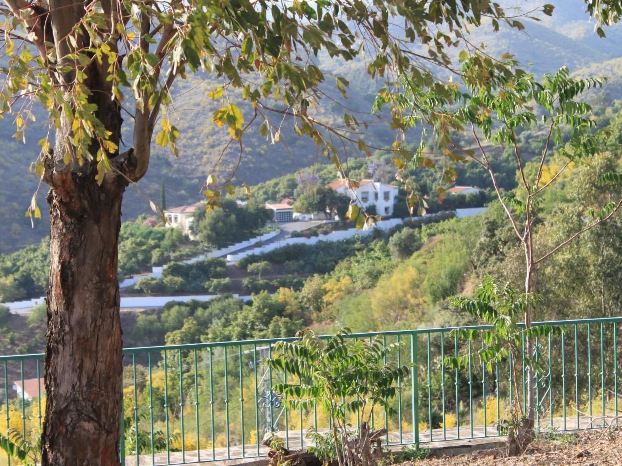 "Huelva" mit Gemeinschaftspool in einem andalusischen "Cortijo" in Chilches - Buiten