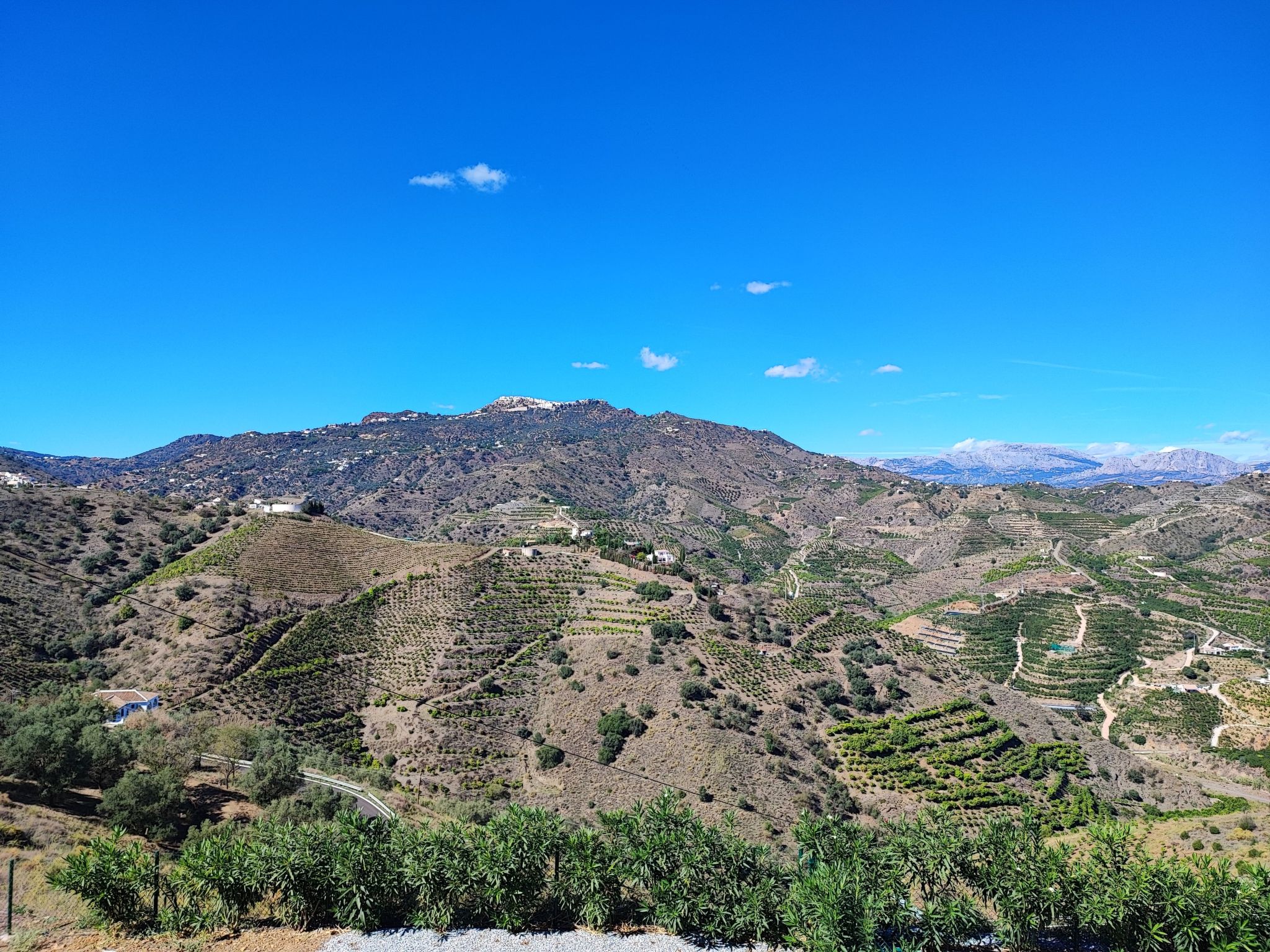 Villa Las Adelfas mit beheiztem Pool-Image-tags.info