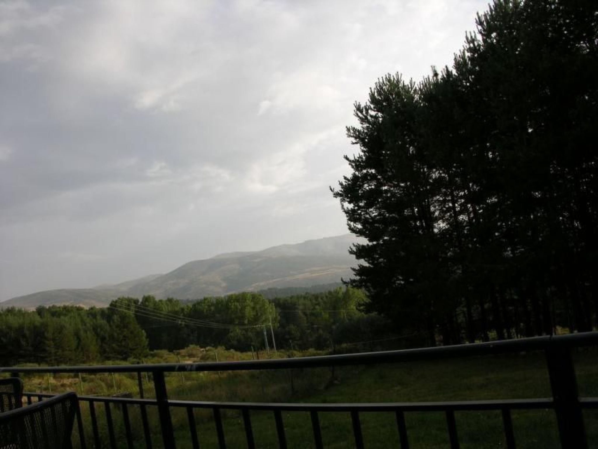 Mitten in der Natur-Buiten