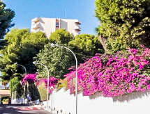 Appartement Duquesa de España