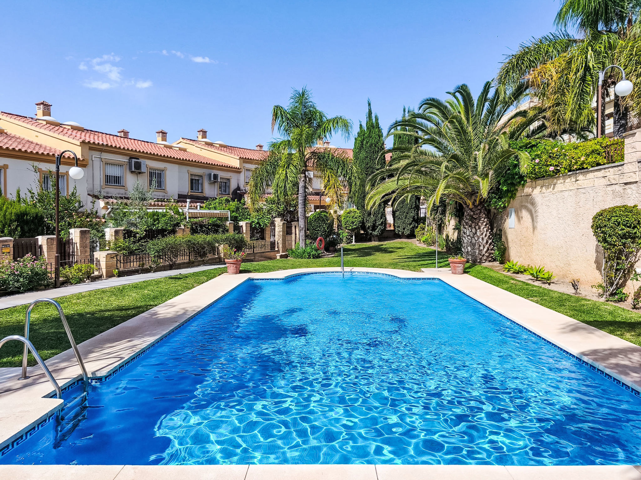 Buganvillas