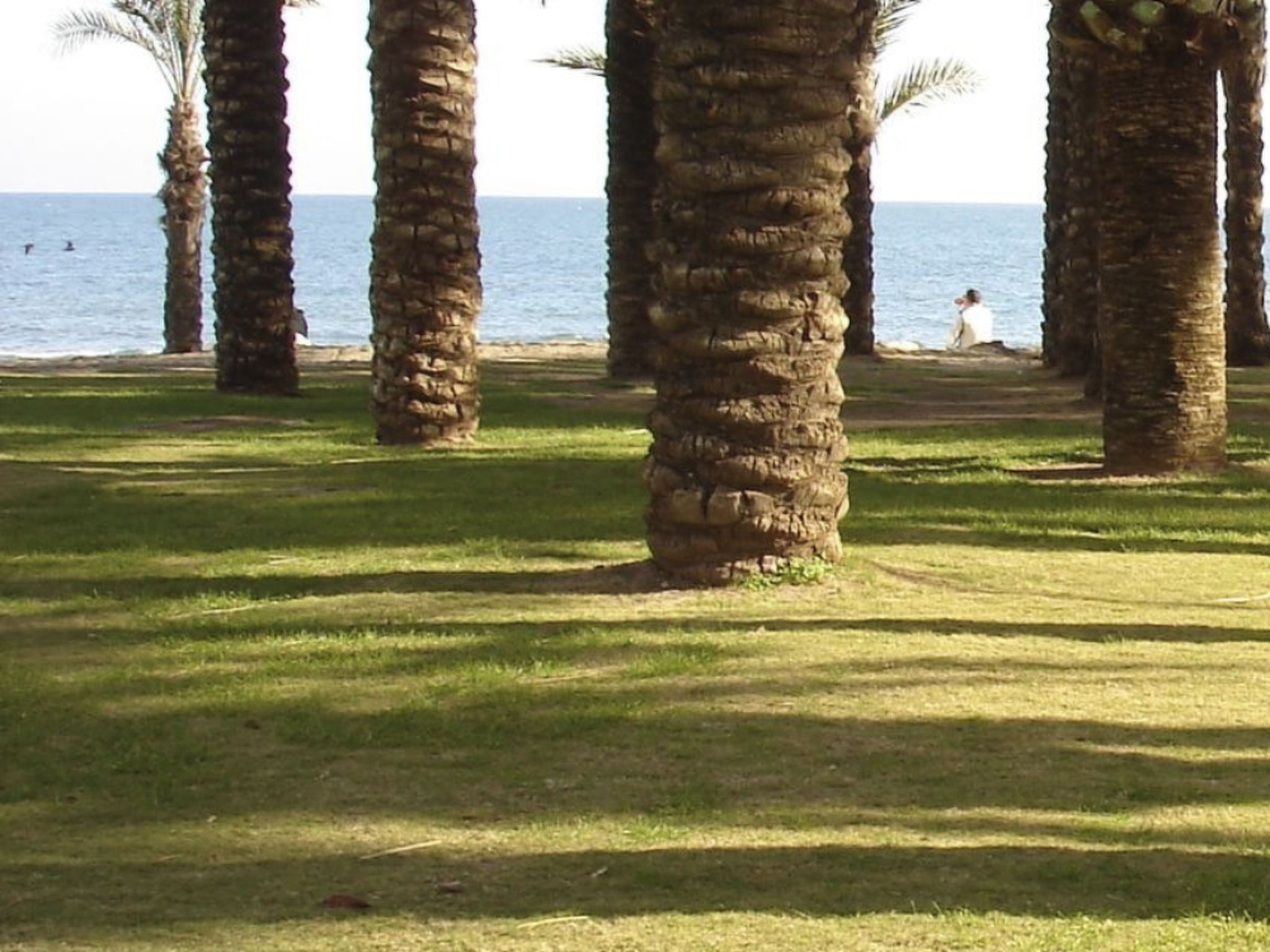 Ideal für Telearbeit vom Strand aus-Outside