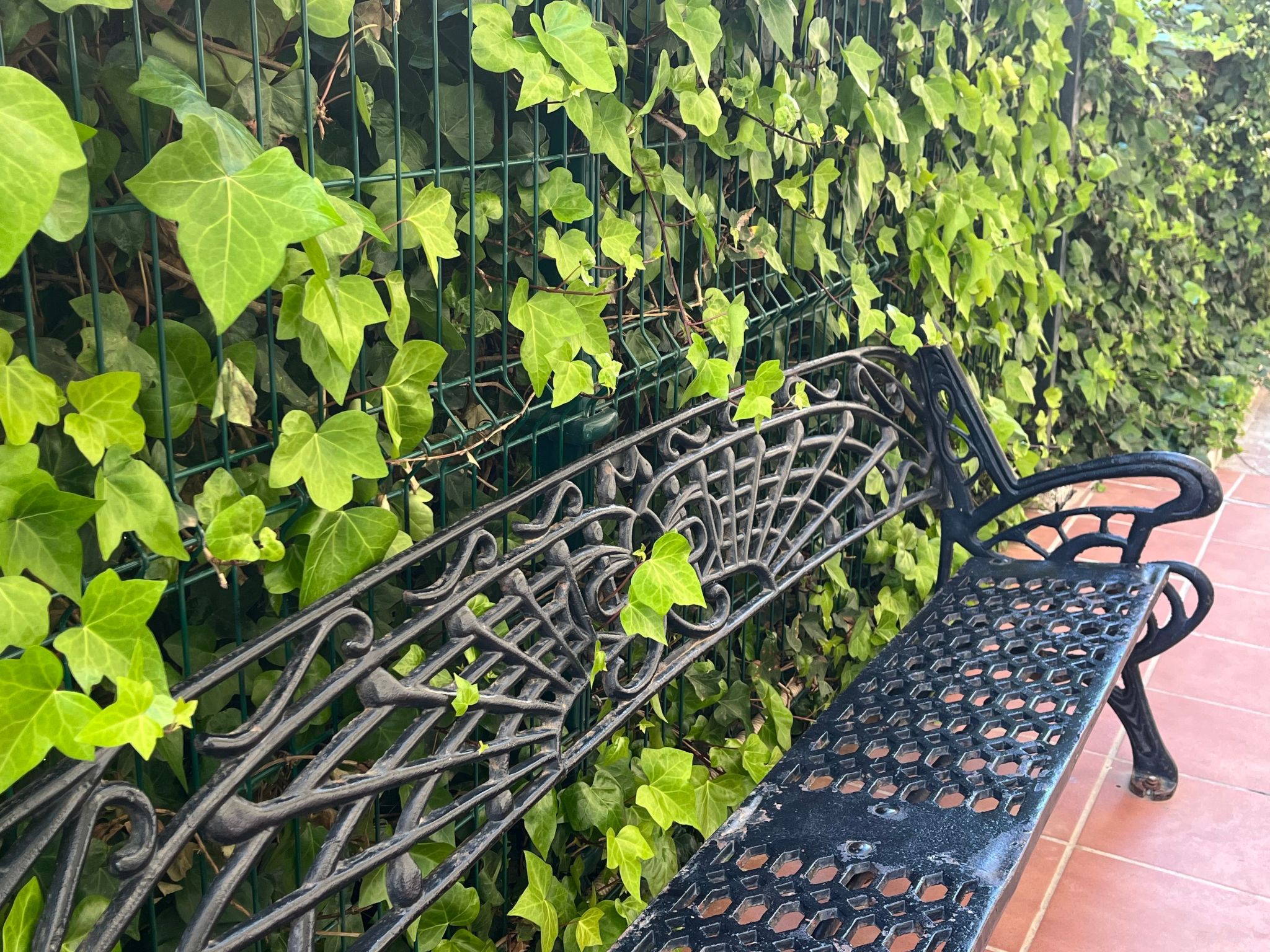 Photo of Nationen-BenAlma