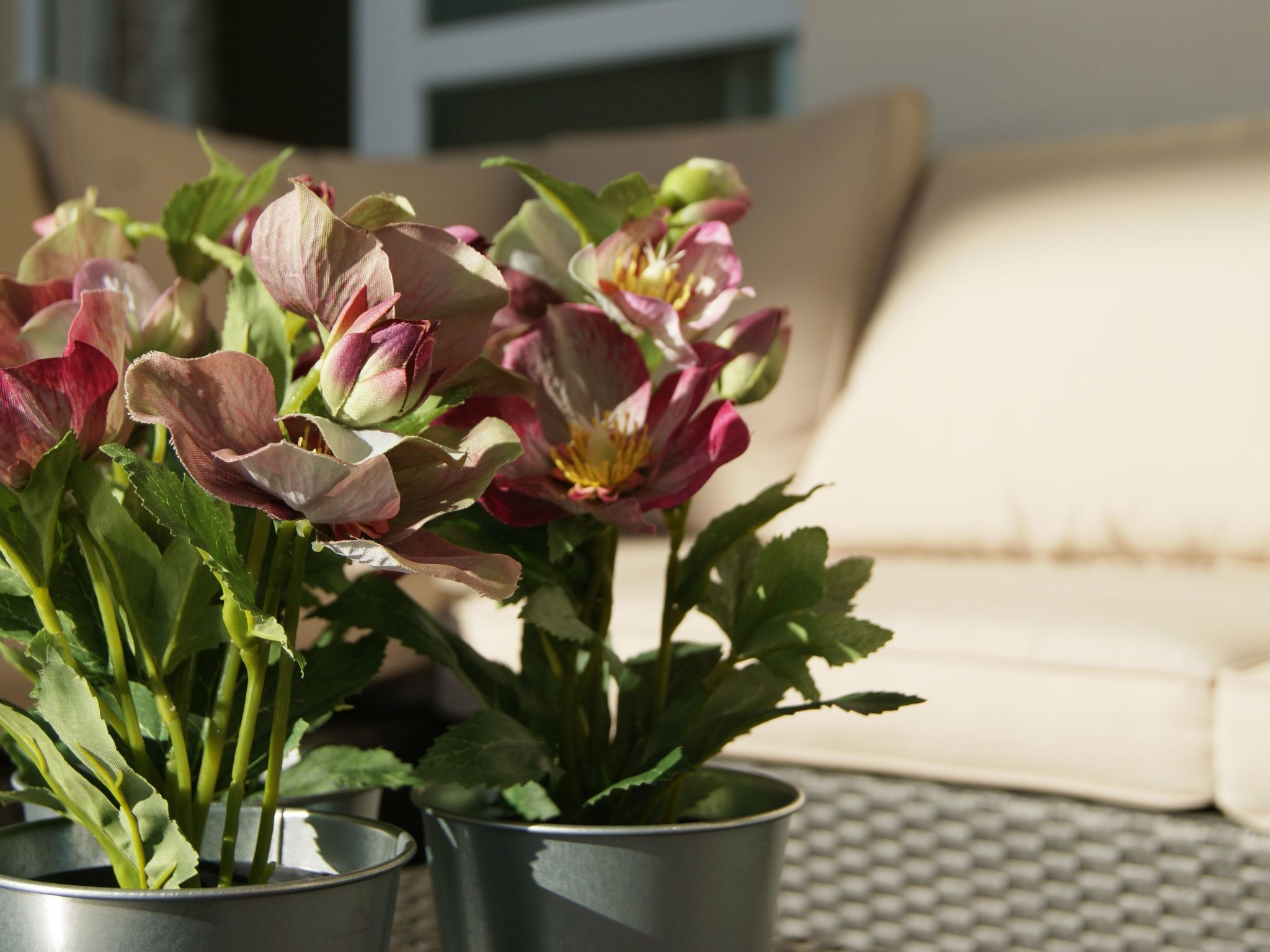 Photo of Wohnung "Casa JoCa Pueblo