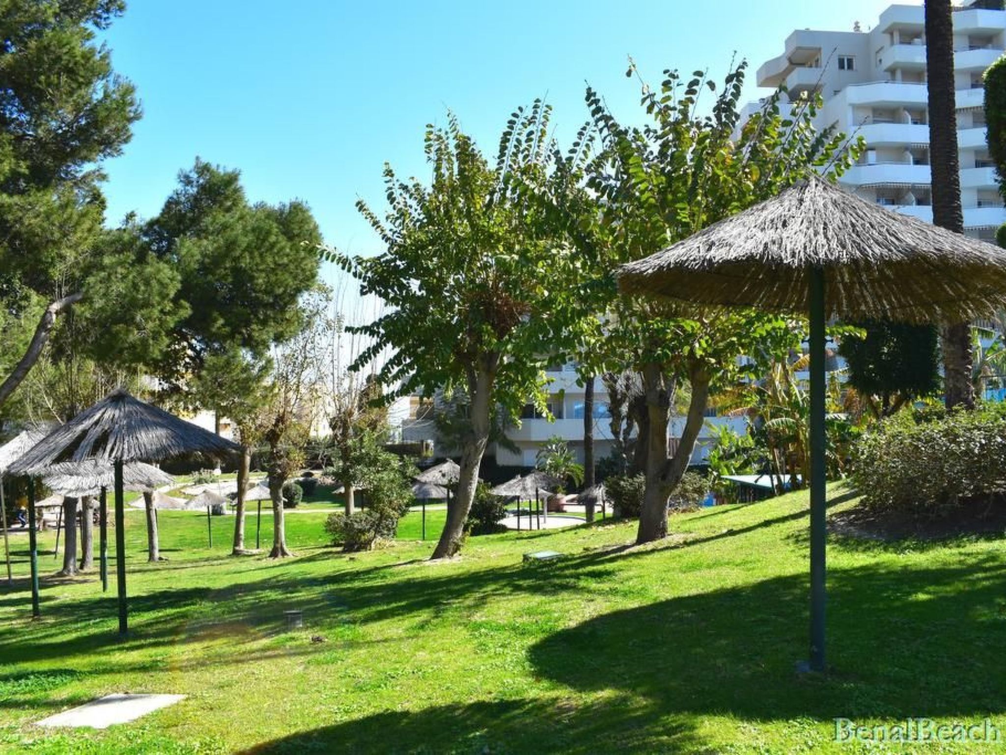 Photo of BENALBEACH DE LUXE an der BEACH FRONT LINE