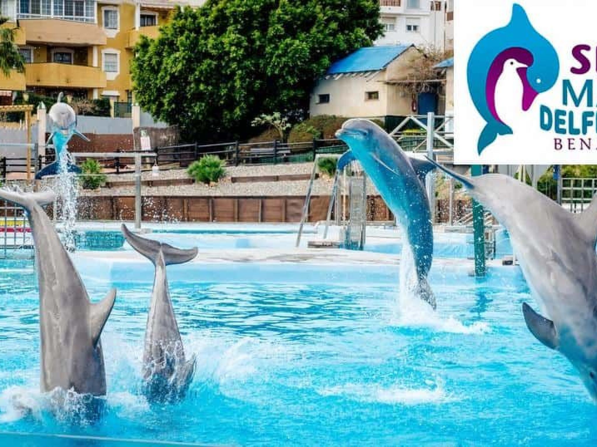 BENALBEACH DE LUXE an der BEACH FRONT LINE-Outside