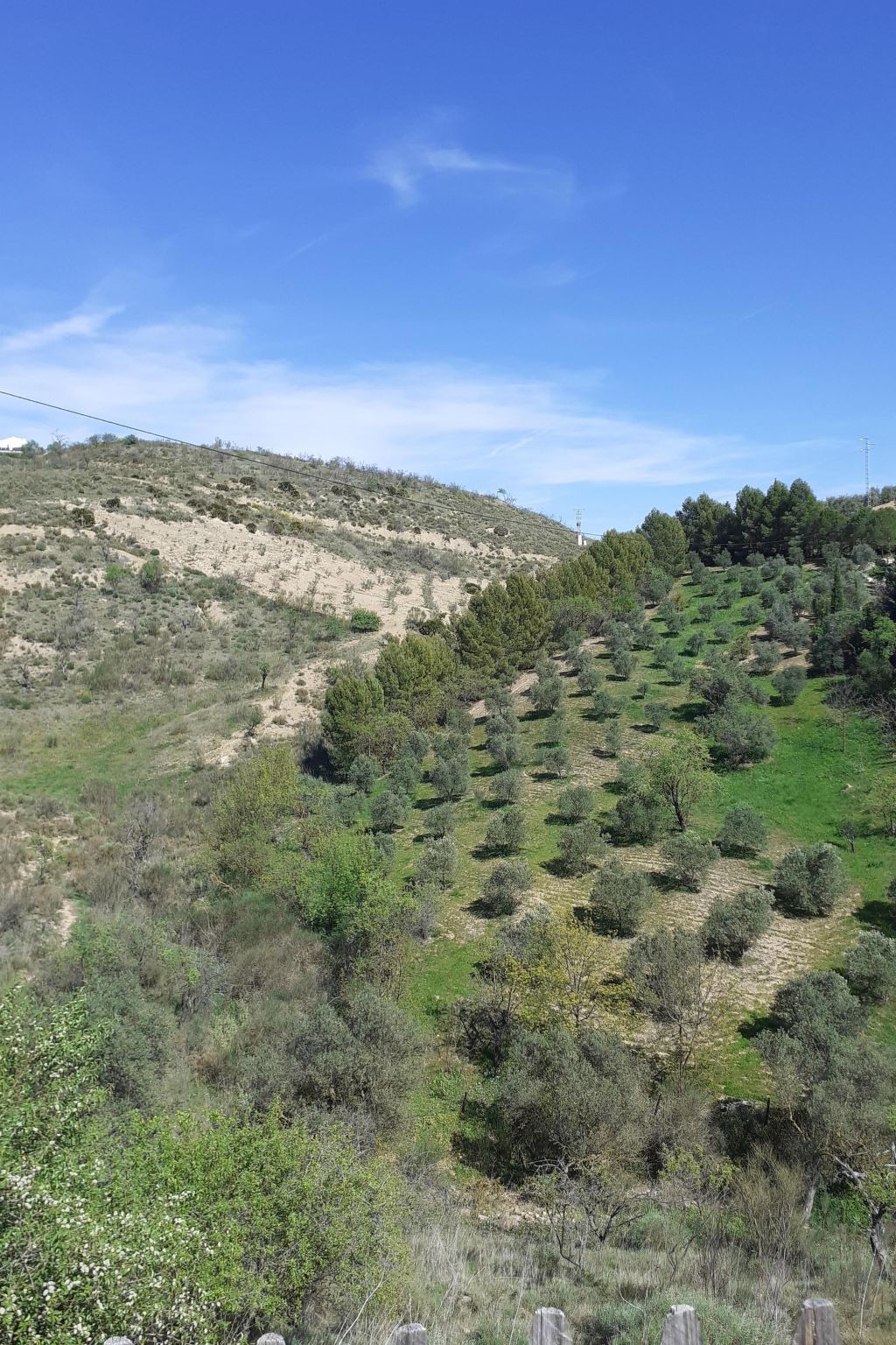 Wunderschön gelegenes Ferienhaus mit privatem Pool-Binnen