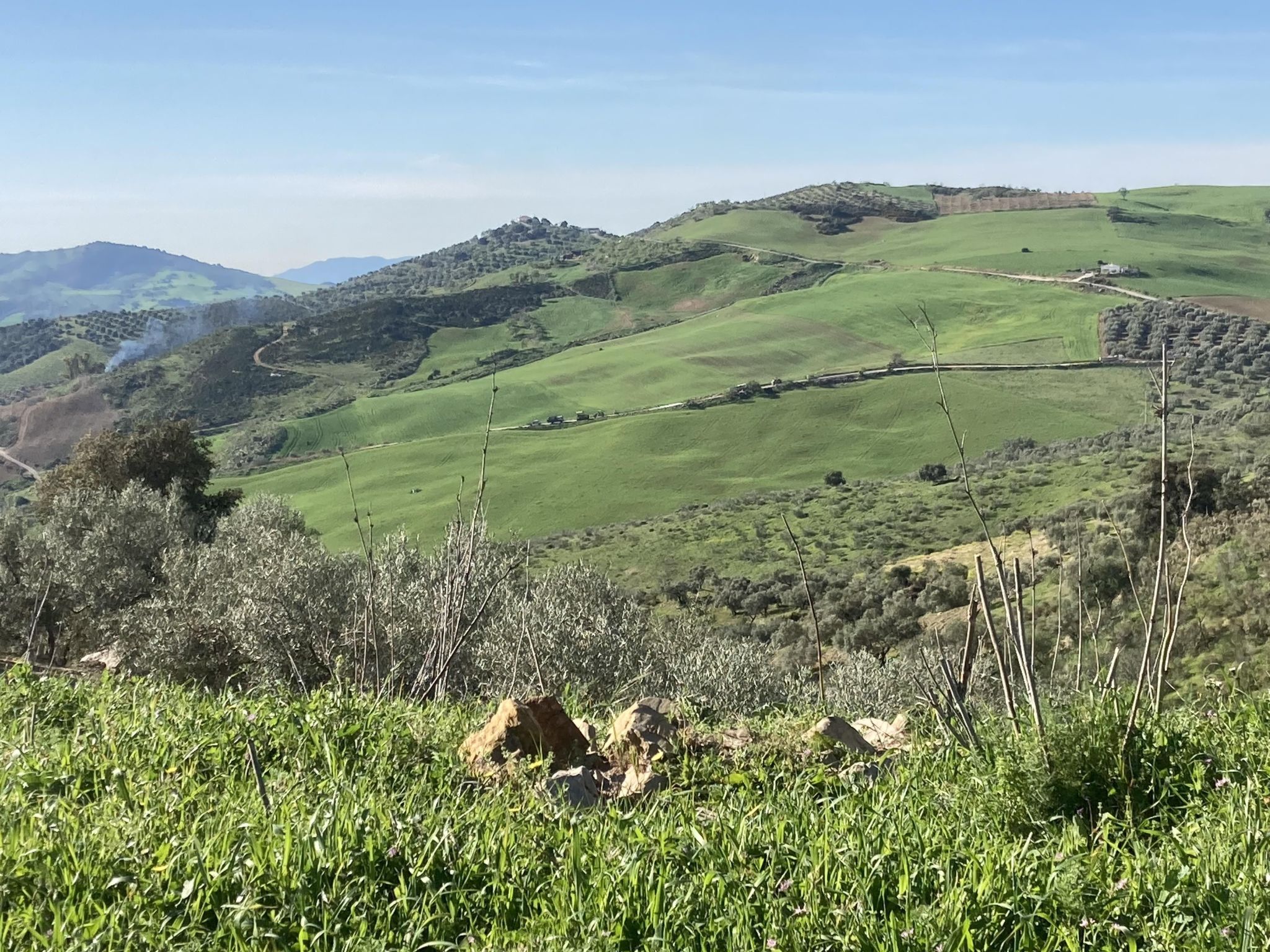 Wunderschön gelegenes Ferienhaus mit privatem Pool-Binnen