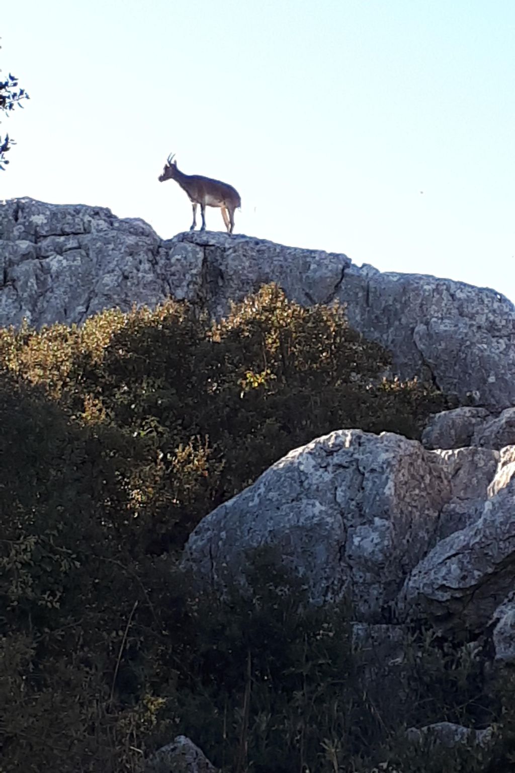 Wunderschön gelegenes Ferienhaus mit privatem Pool-Binnen