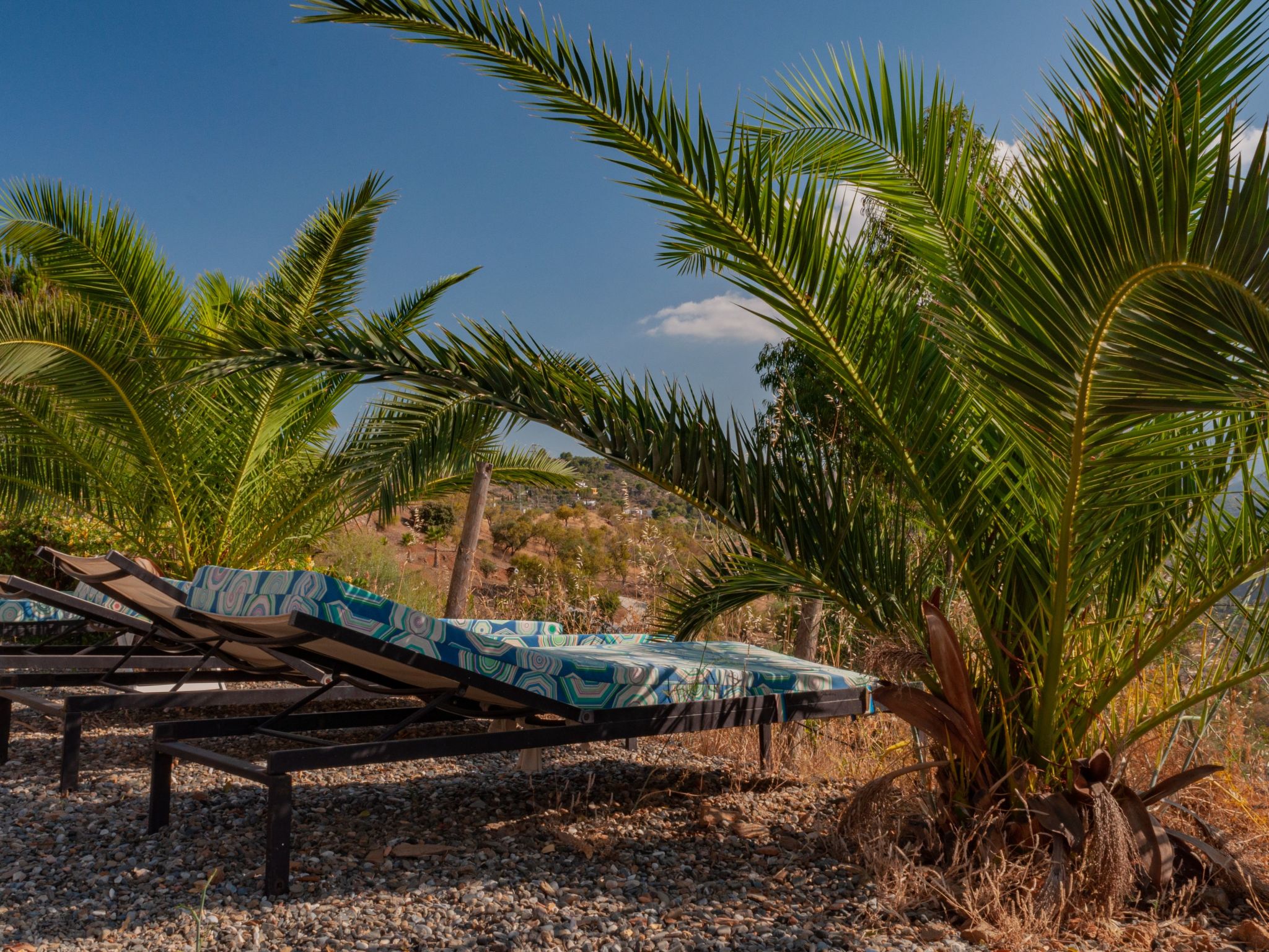 Seeadlerhorst-Binnen