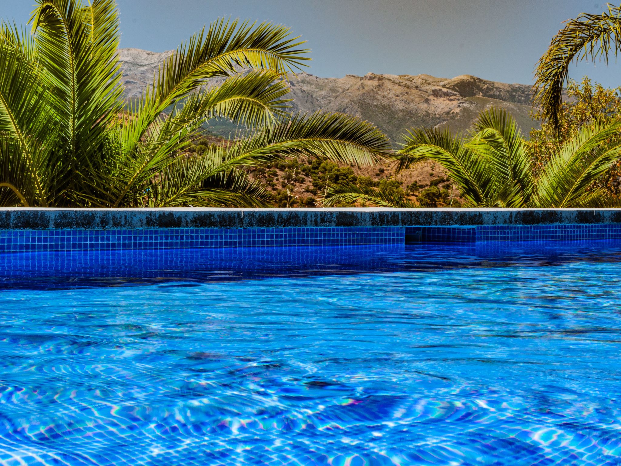 Seeadlerhorst-Binnen