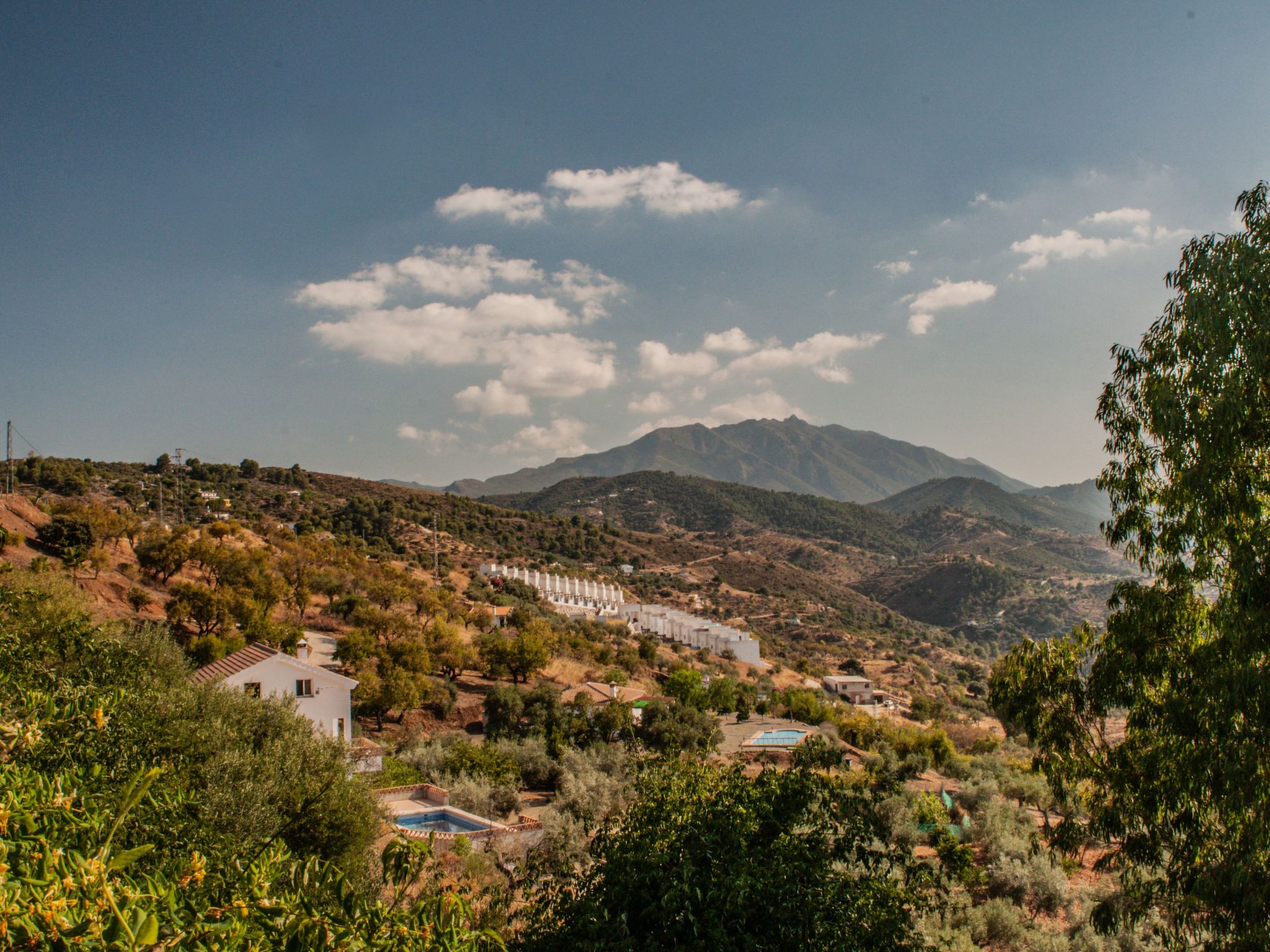 Seeadlerhorst-Binnen