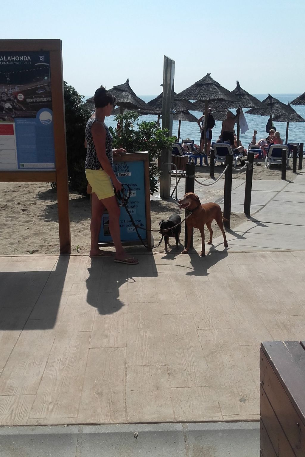 Appartement mit Terrasse-Image-tags.info