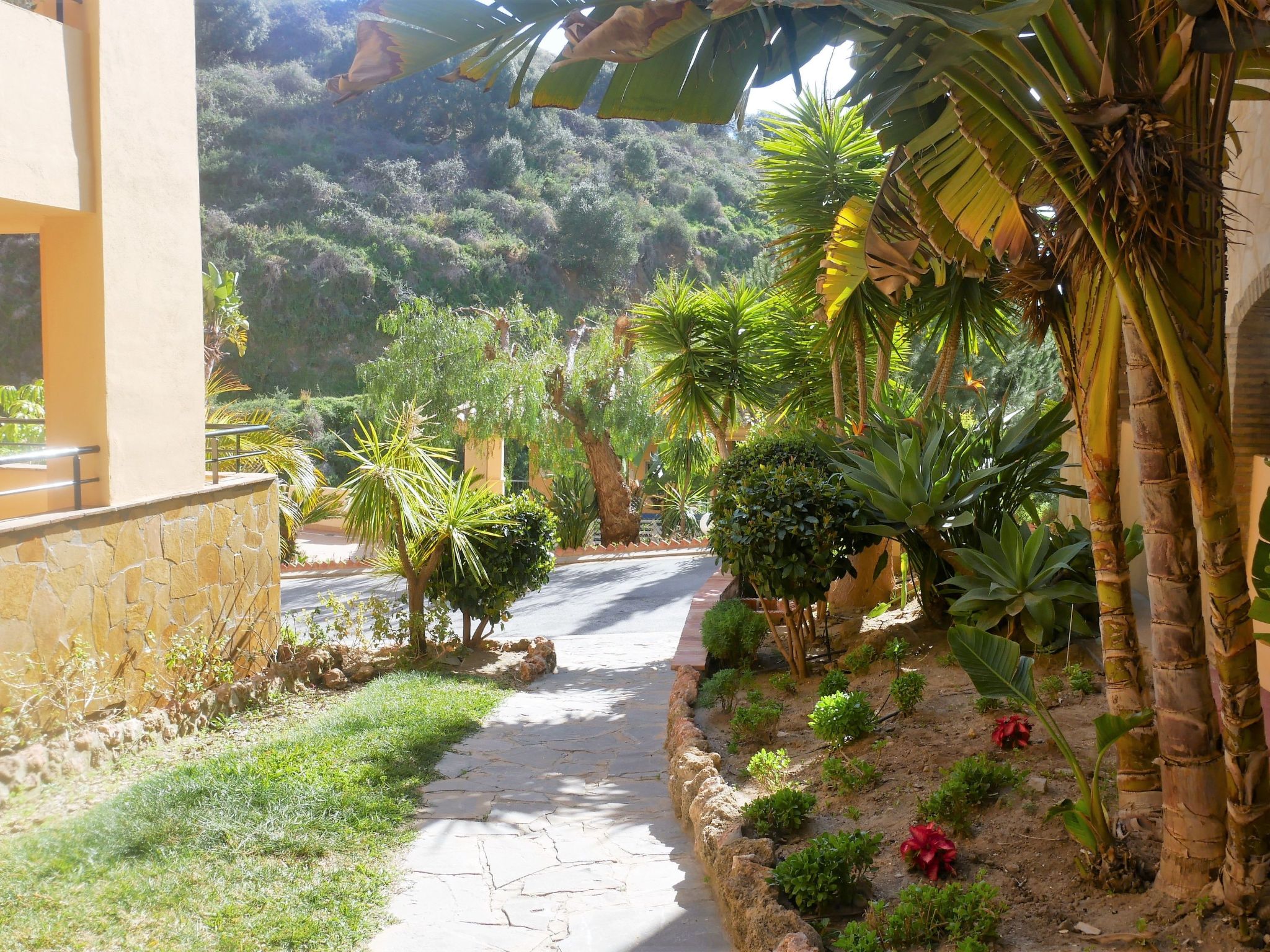 Hillside Suite Mijas Costa-Image-tags.info