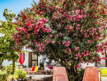 Zonnig appartement Nido Aguila Blanca in Coin - thumbnail 6