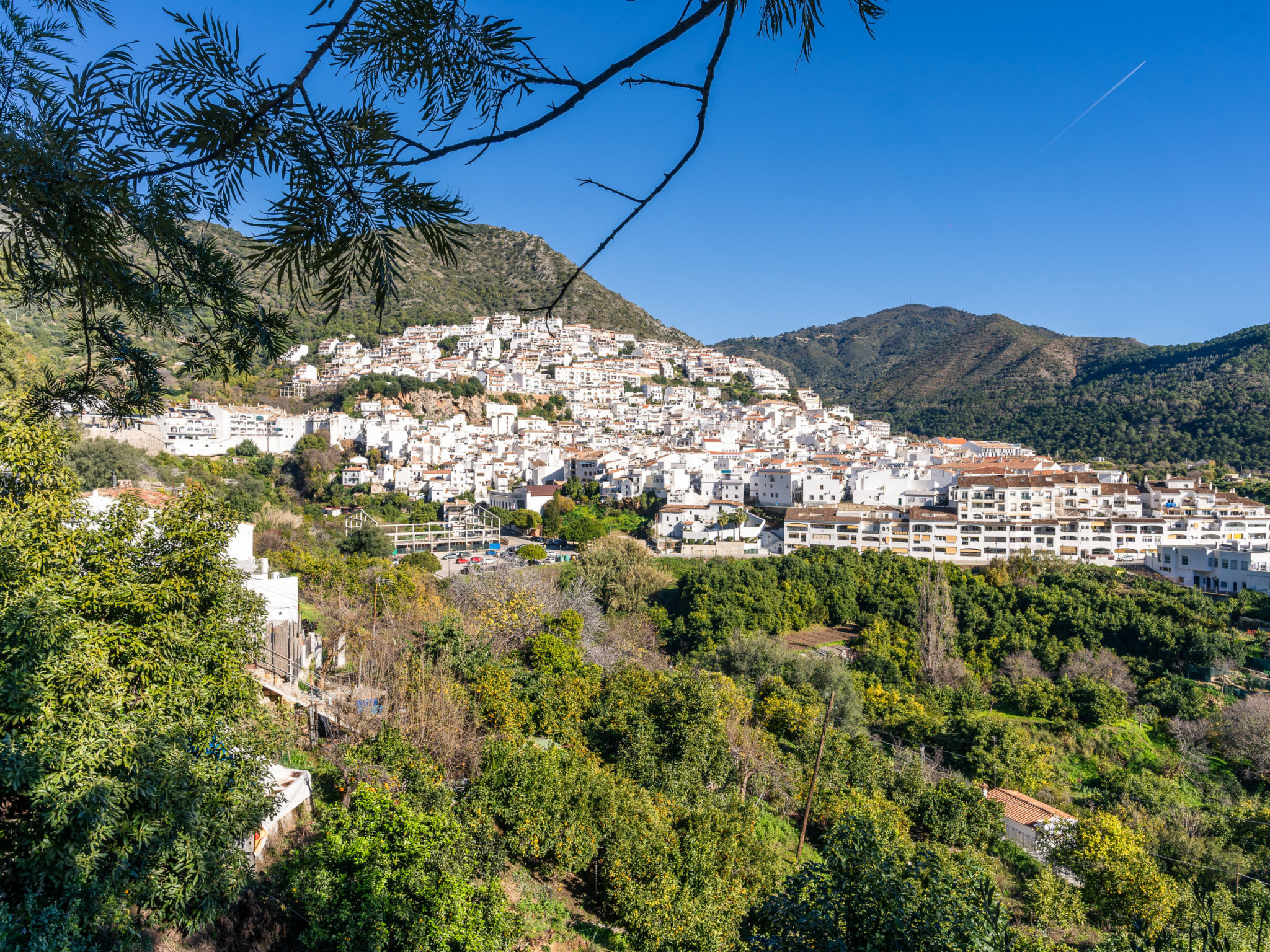 El Cerezal - Apartment with amazing nature views - Dehors
