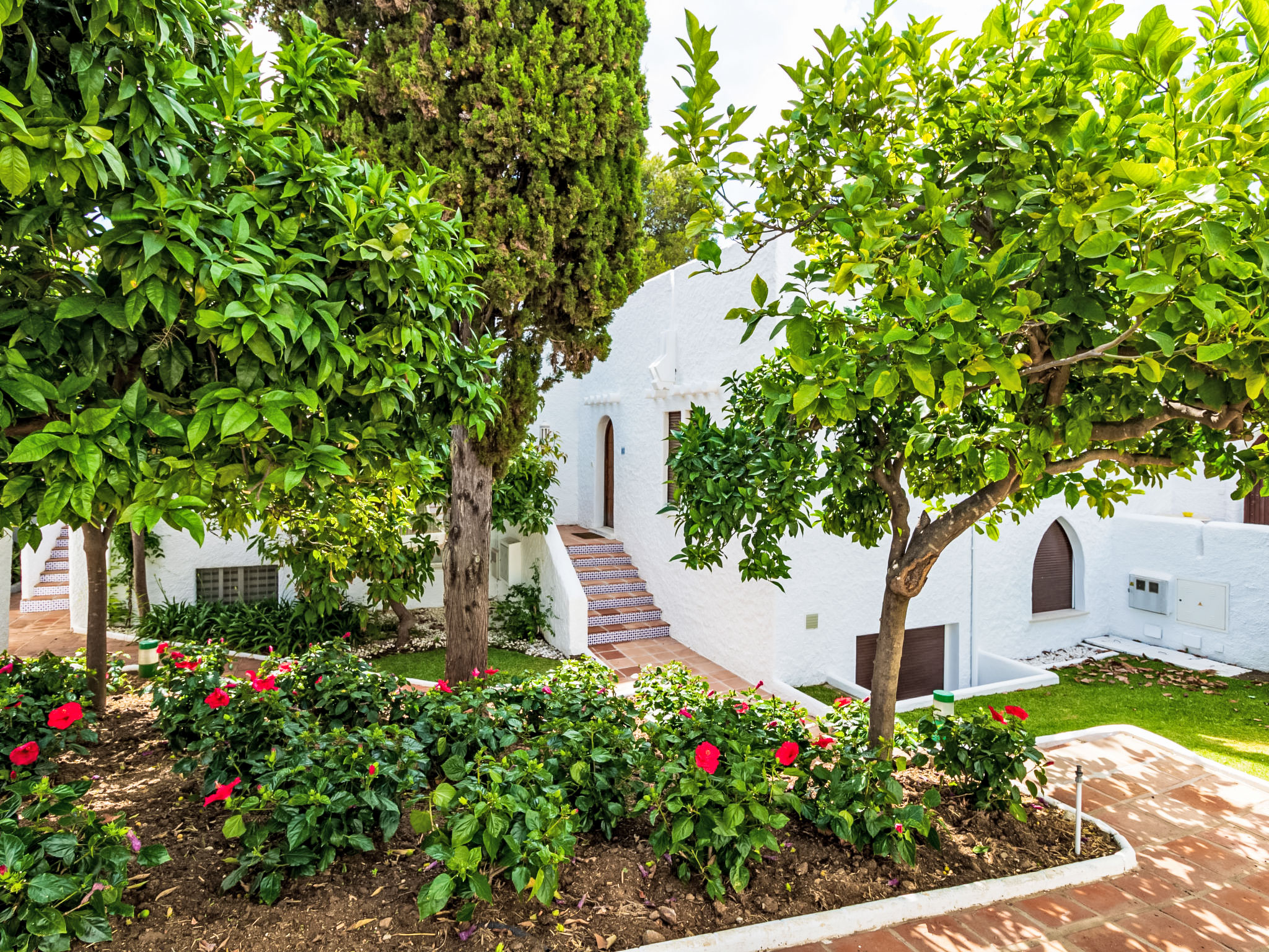 Photo of Atalaya Rio Verde