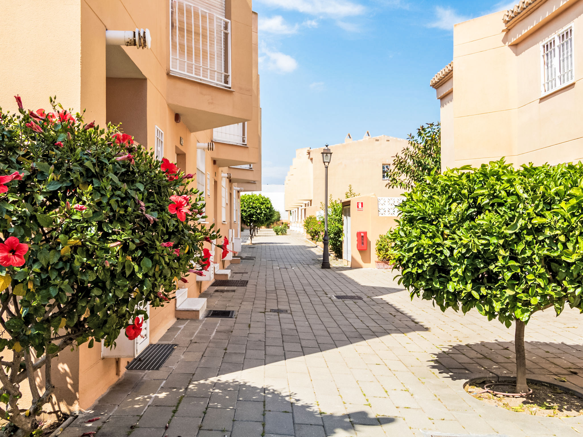 Photo of Reserva de Alvarito