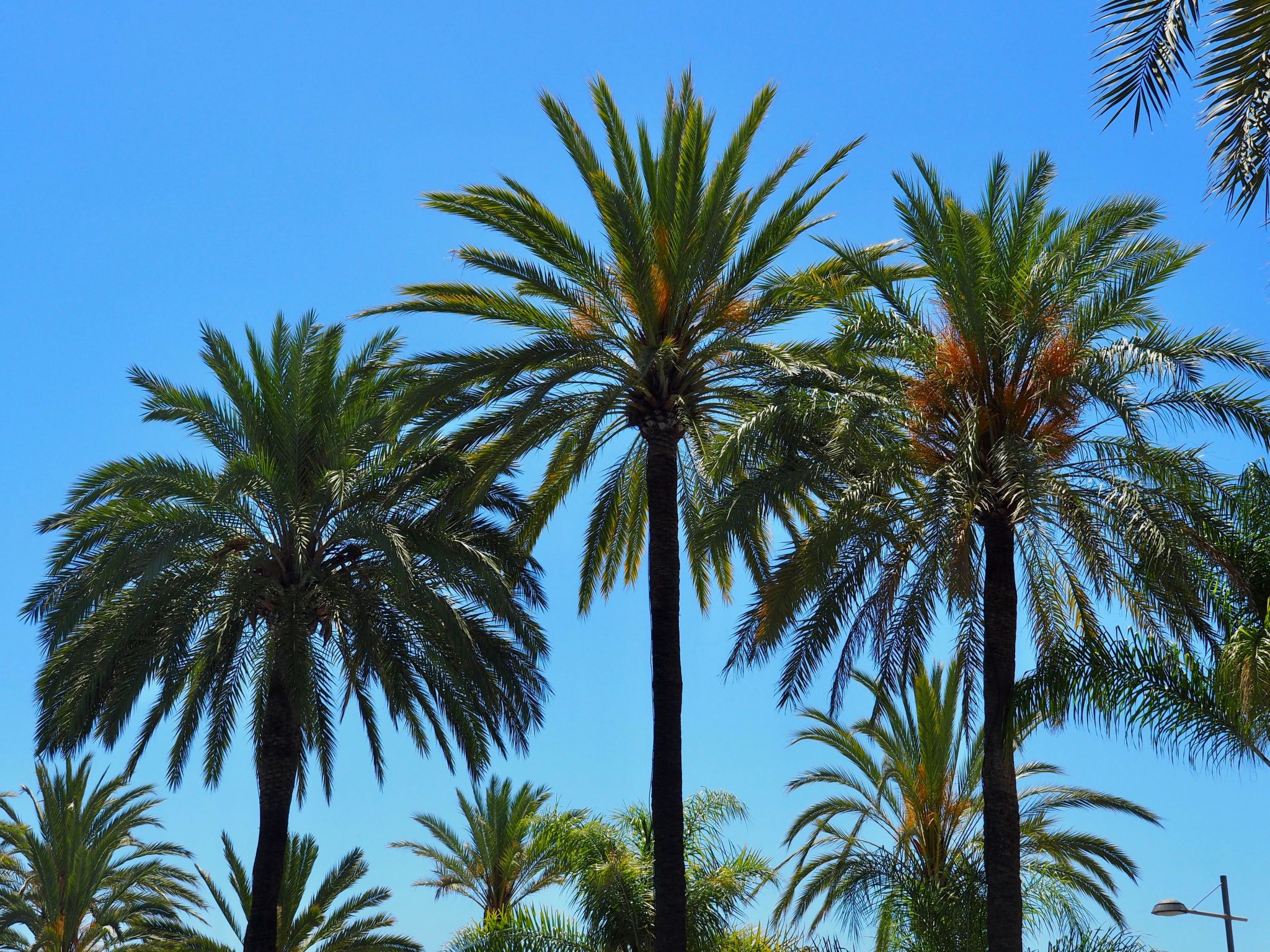 Schöne Ferienwohnung mit tollem Ausblick-Dedans
