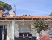 Tortugas