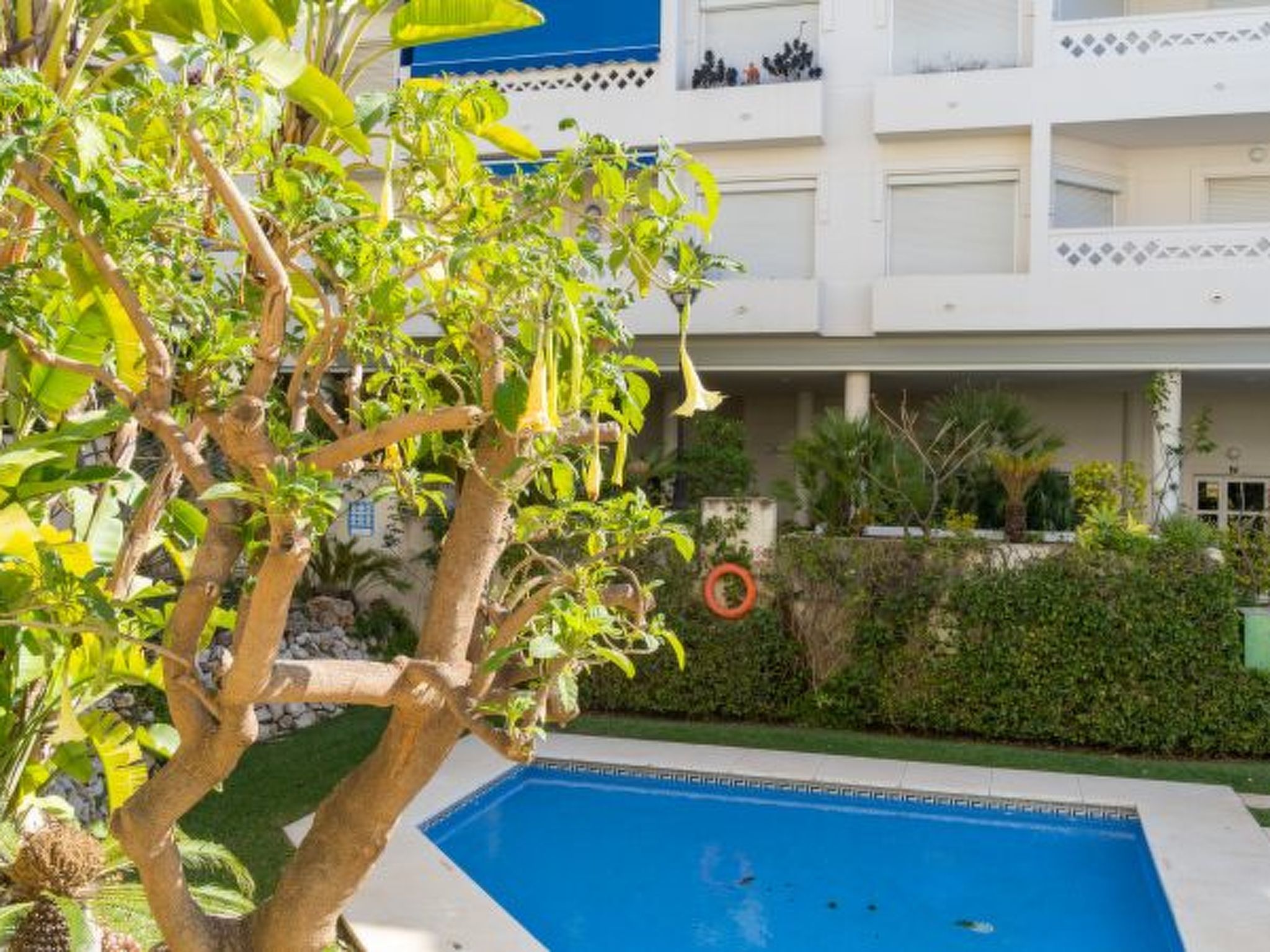 Photo of San Pedro del Mar