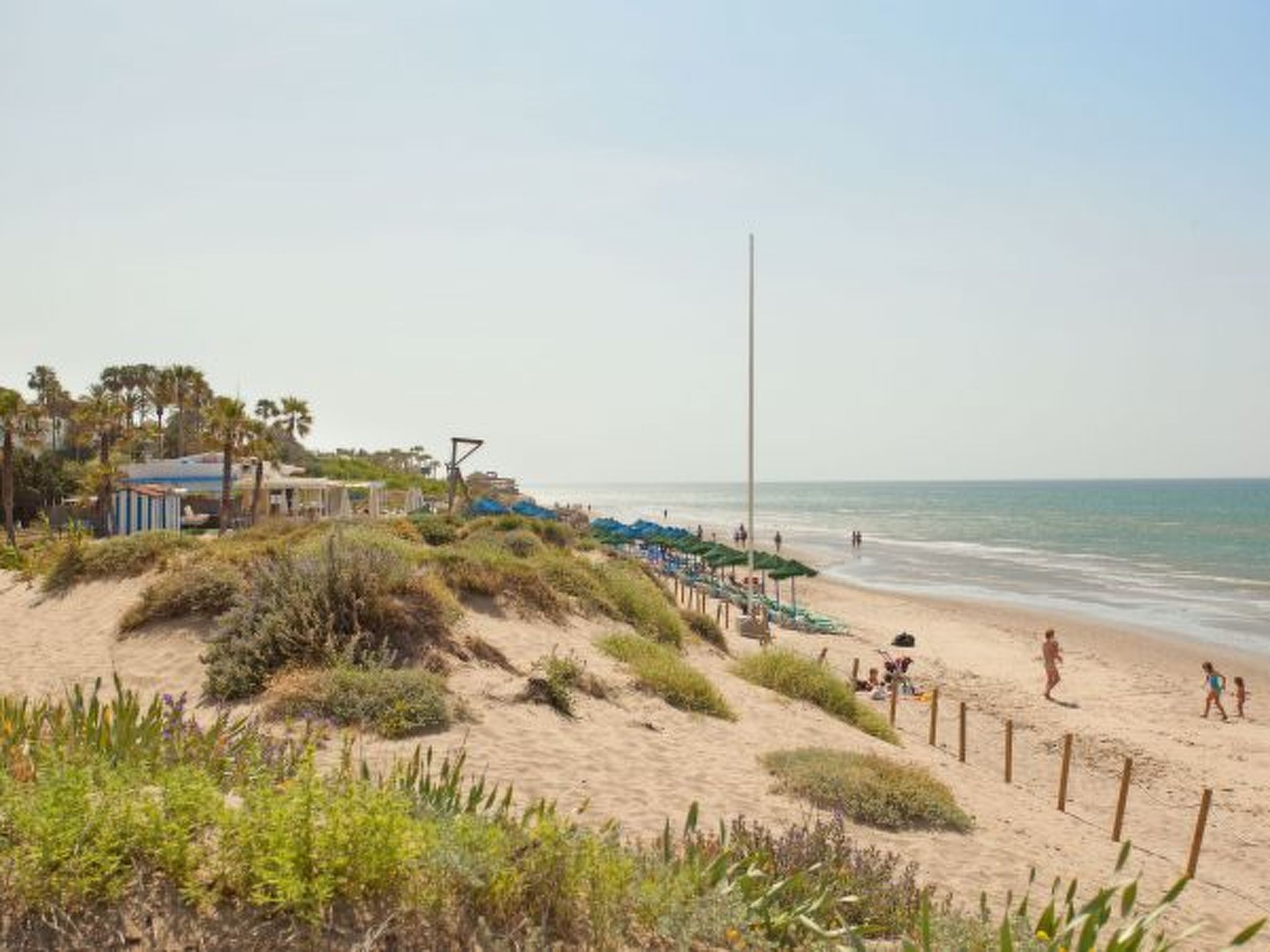 Photo of Romana Playa 902