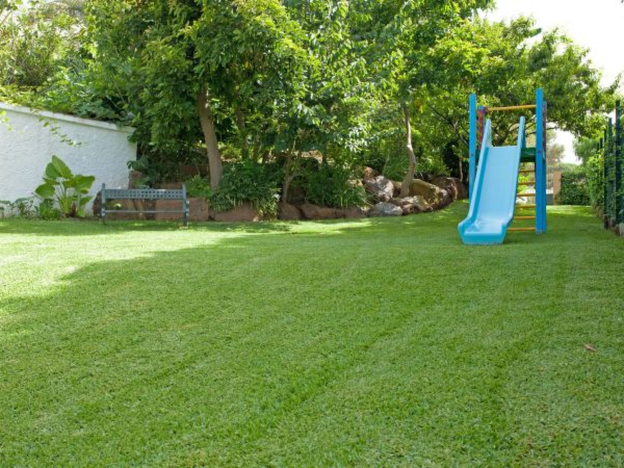 Photo of Coronado U 25