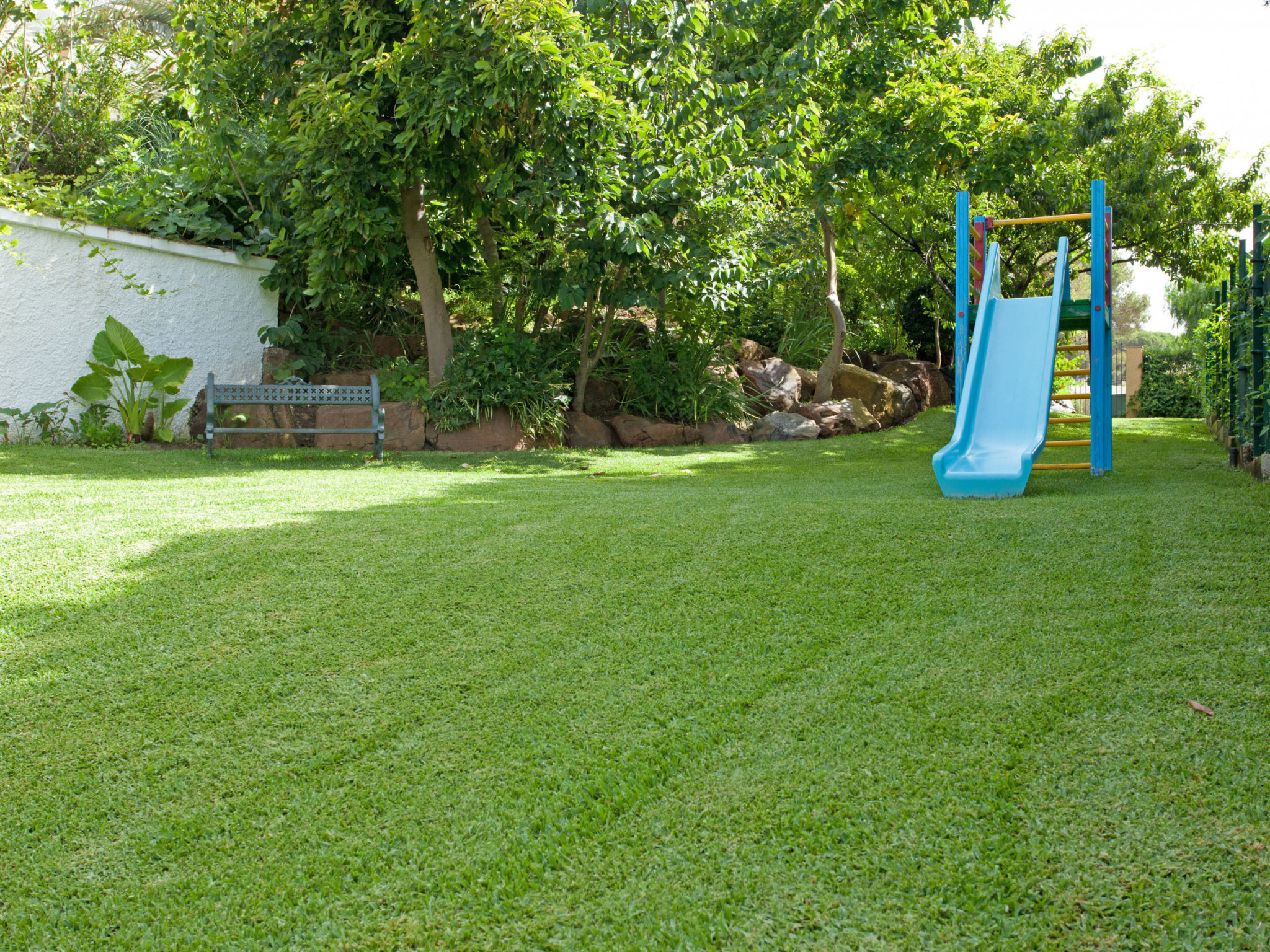 Photo of Coronado U 25