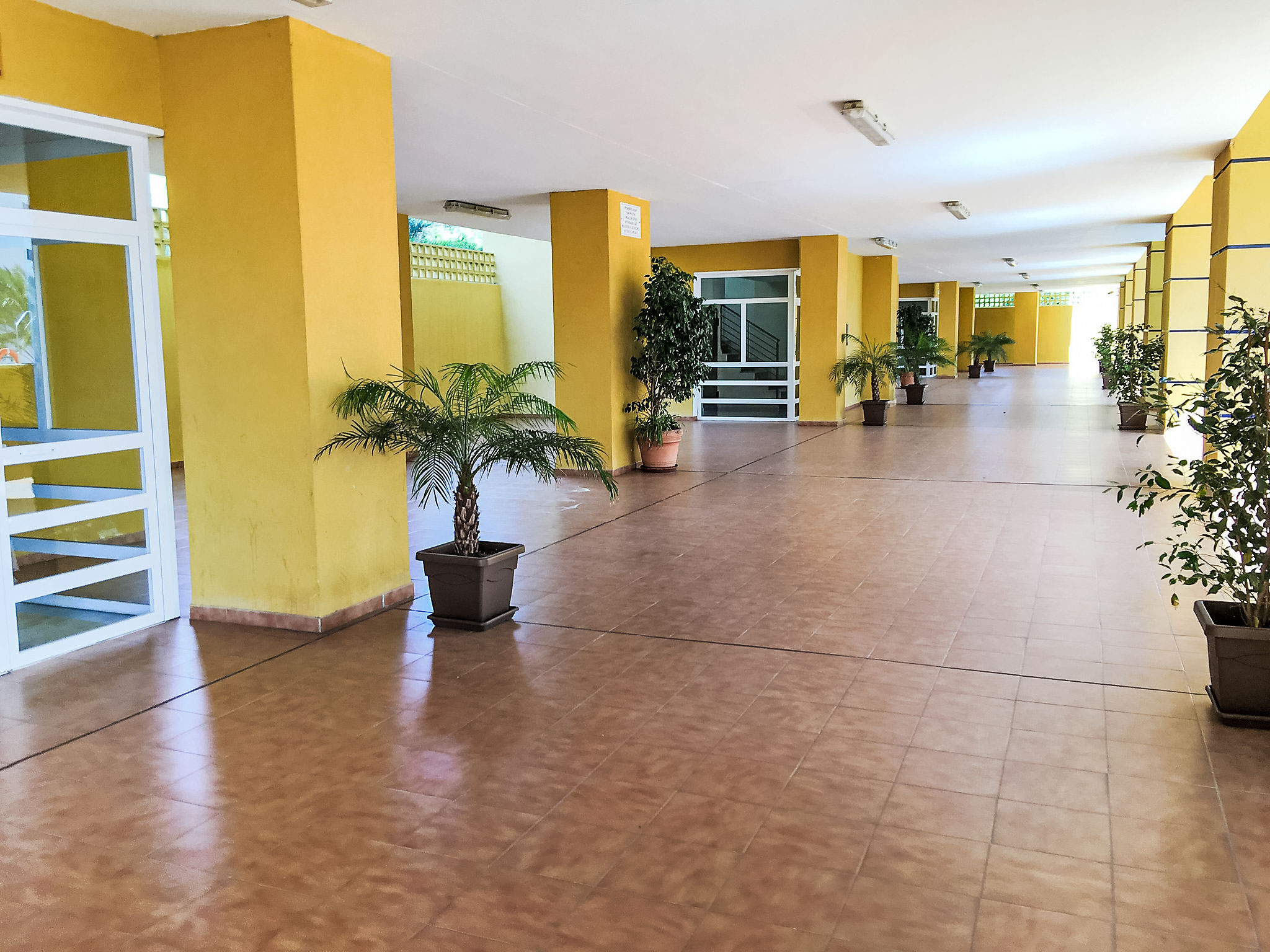 Photo of Bellavista del Puerto