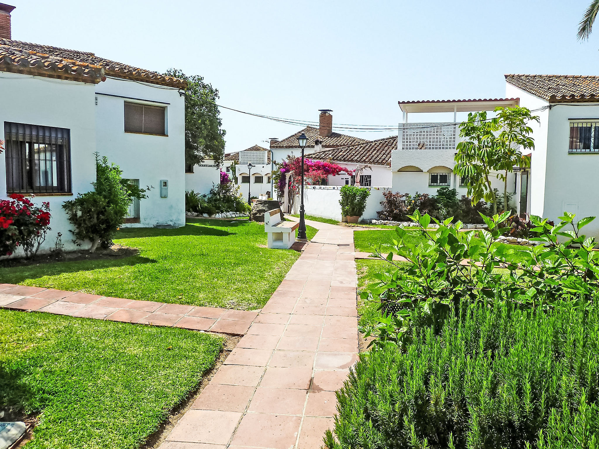 Photo of Bahia Dorada