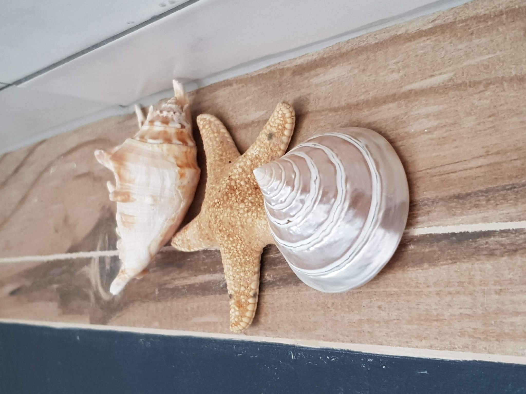 Der Ort des Lichts-Binnen