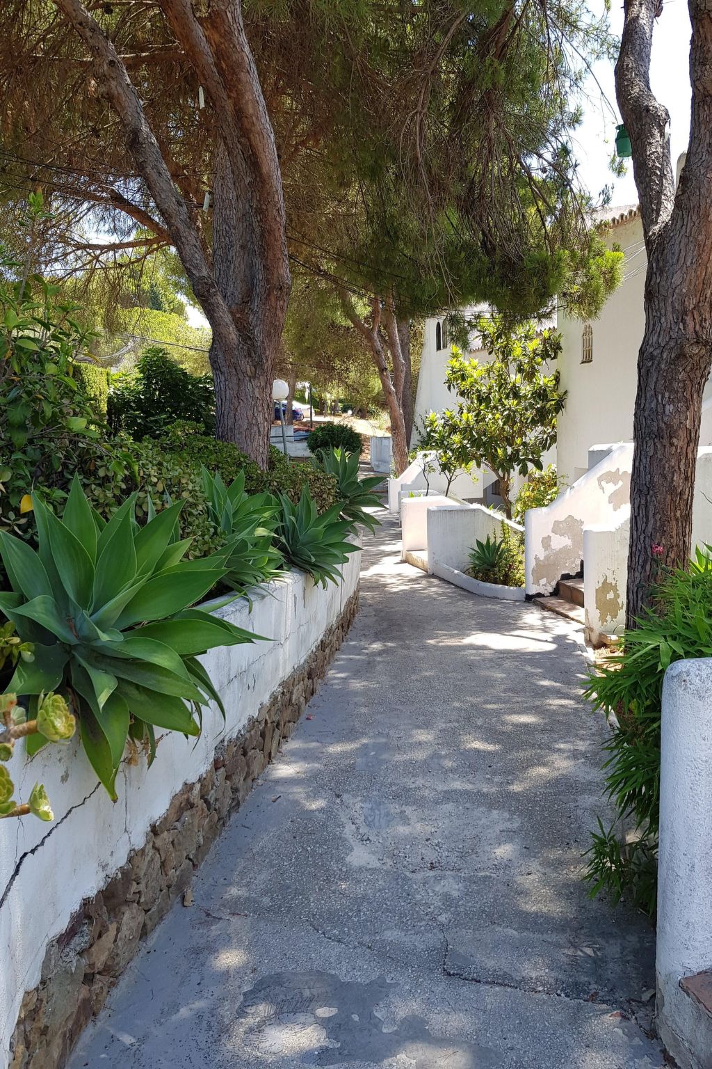 Photo of Der Ort des Lichts