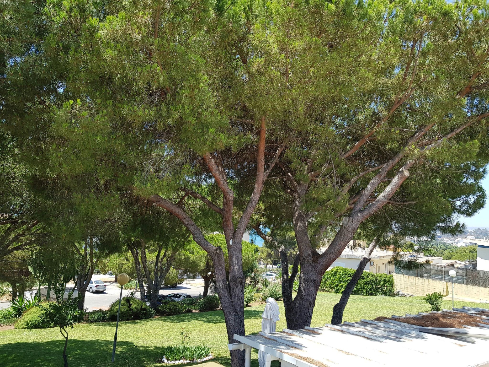 Der Ort des Lichts-Binnen