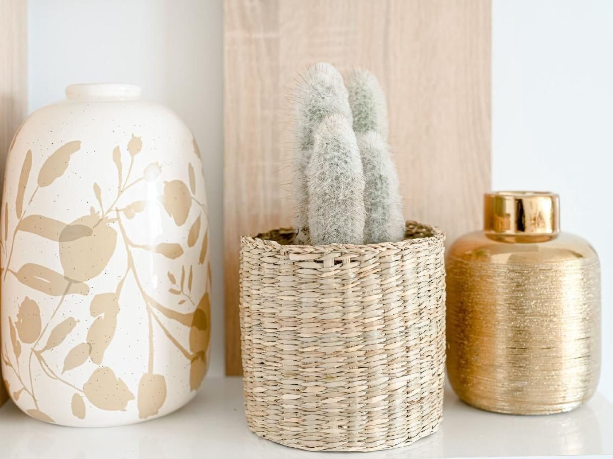 "Seashell Apartment" in Estepina-Binnen