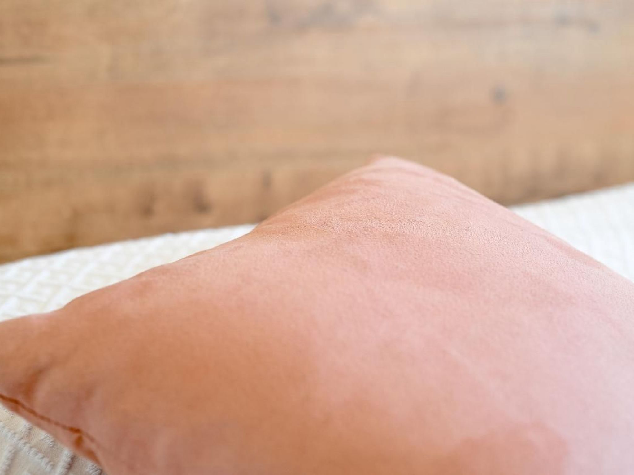 "Seashell Apartment" in Estepina-Binnen