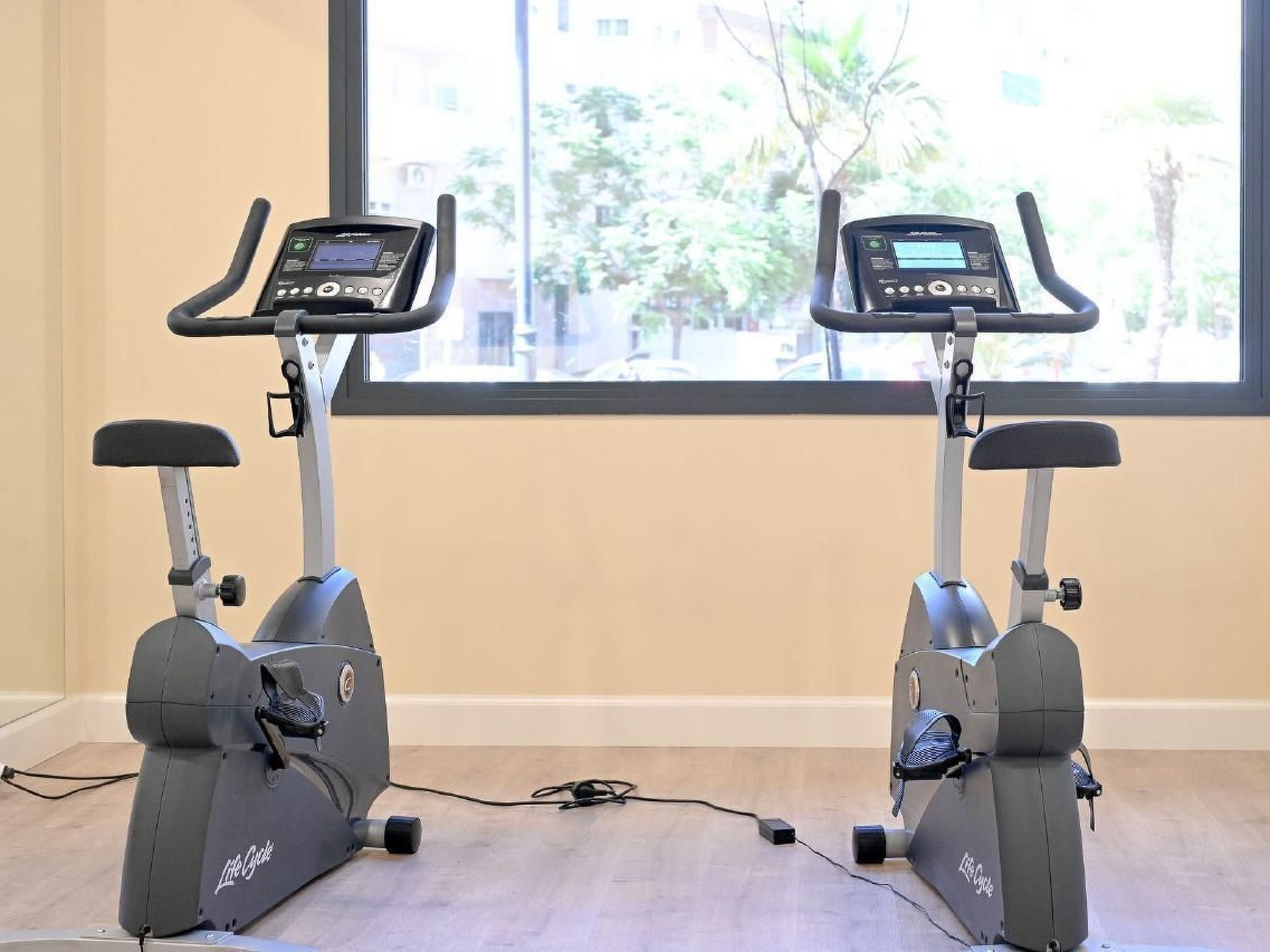 "Seashell Apartment" in Estepina-Binnen