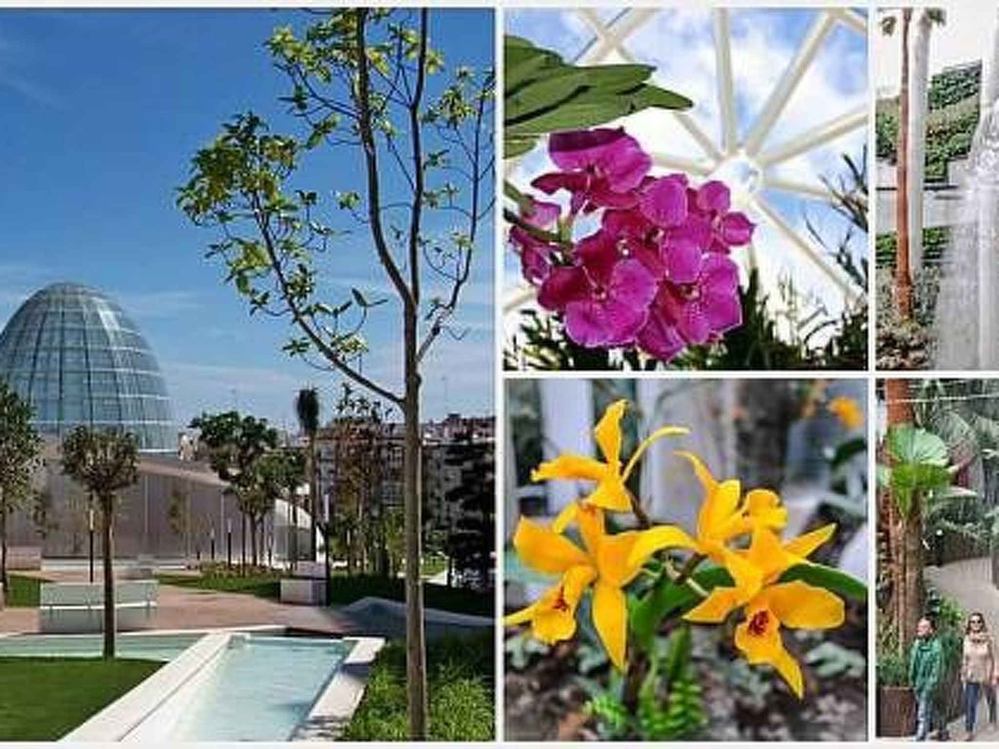 Gemütliche Ferienwohnung im Zentrum von Estepona.-Inside