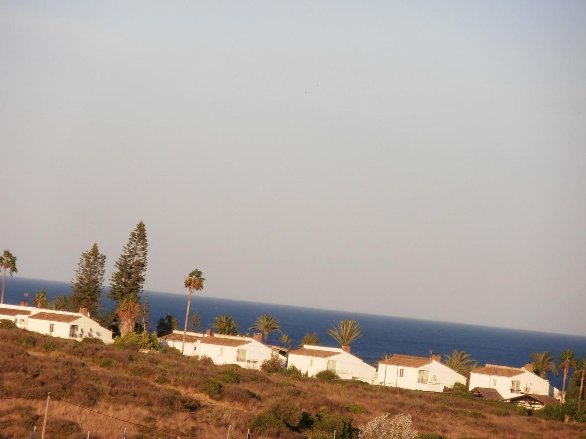 Photo of Penthaus Estepona