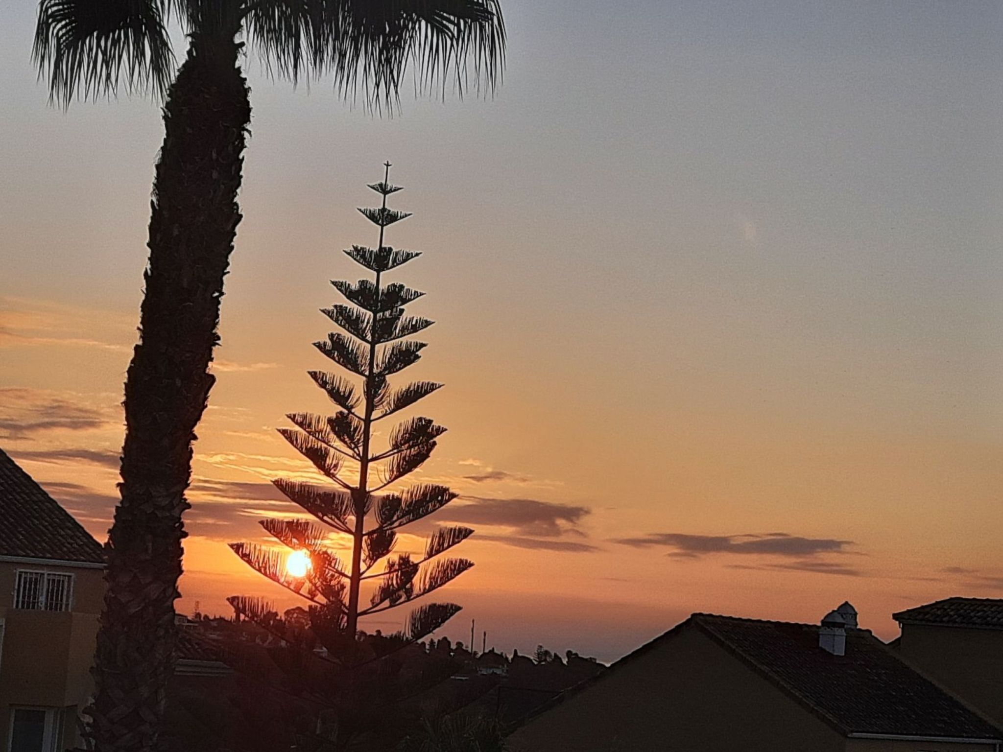 Kaehe's Paradise-Outside