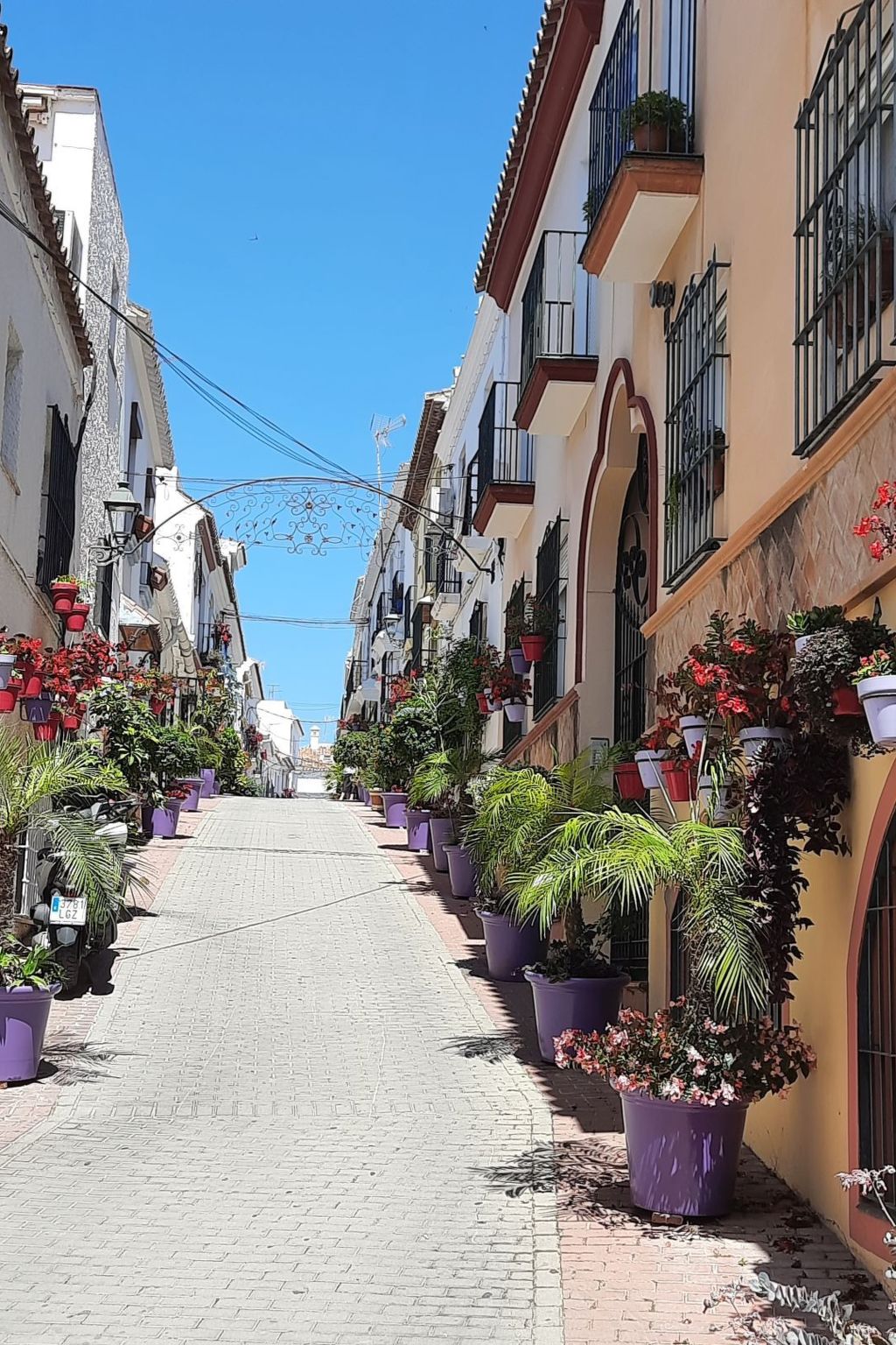 Photo of Ferienwohnung in Bel Air Gardens