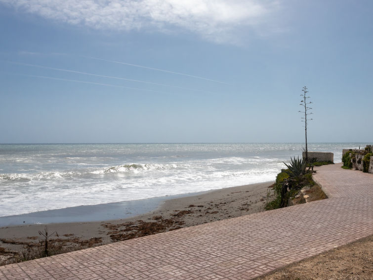 Photo of Arena Beach 1st Line Family Retreat