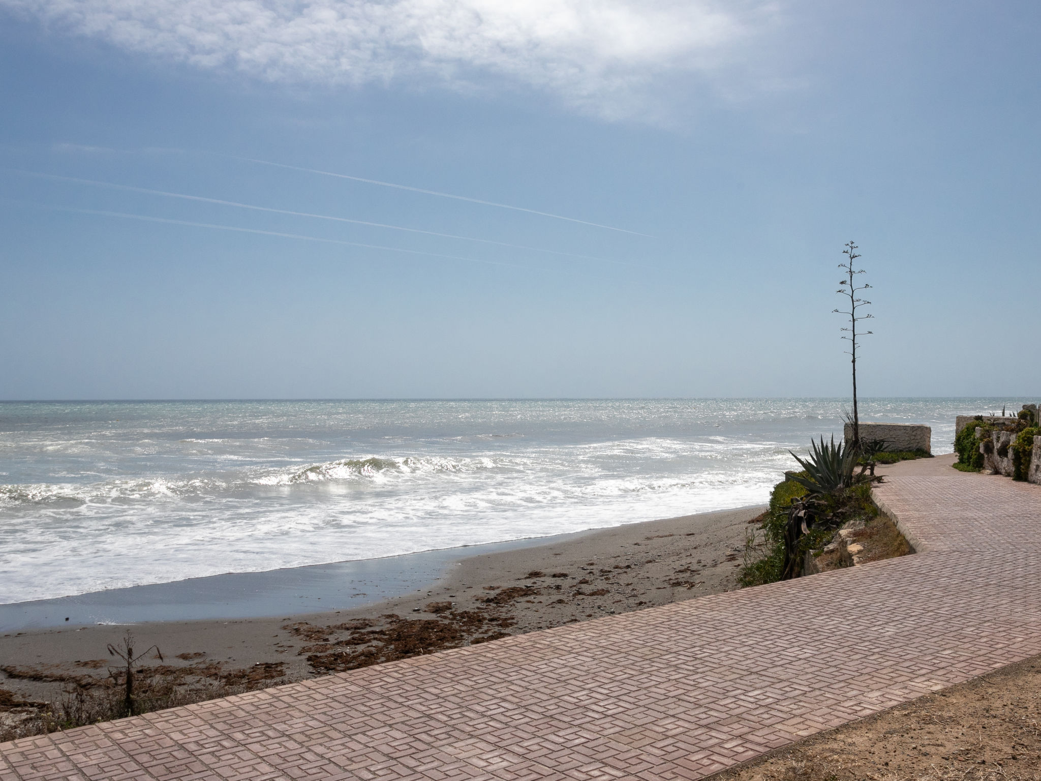 Photo of First Line Arena Beach