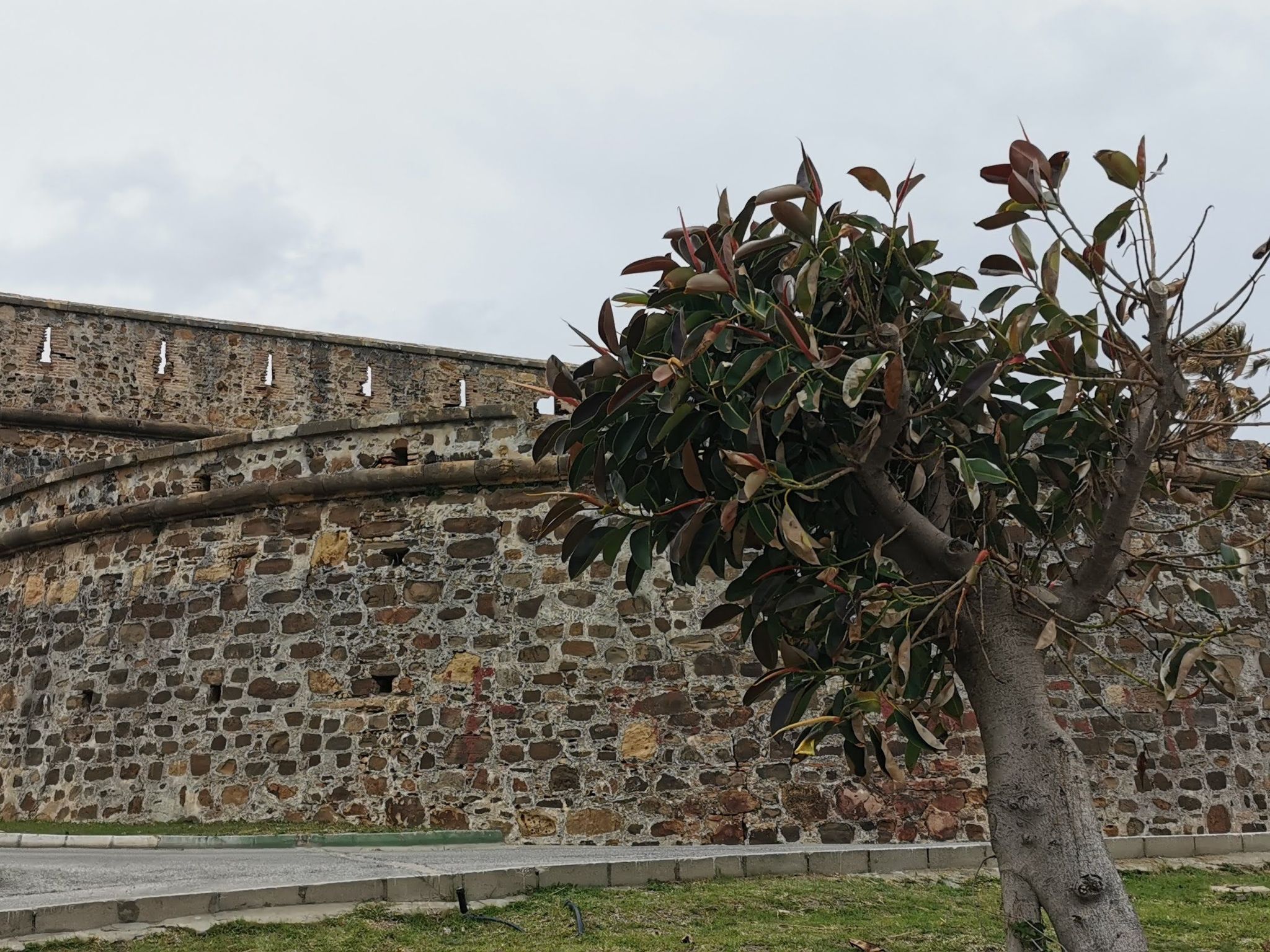 "Los Hidalgos Golf"-Draußen