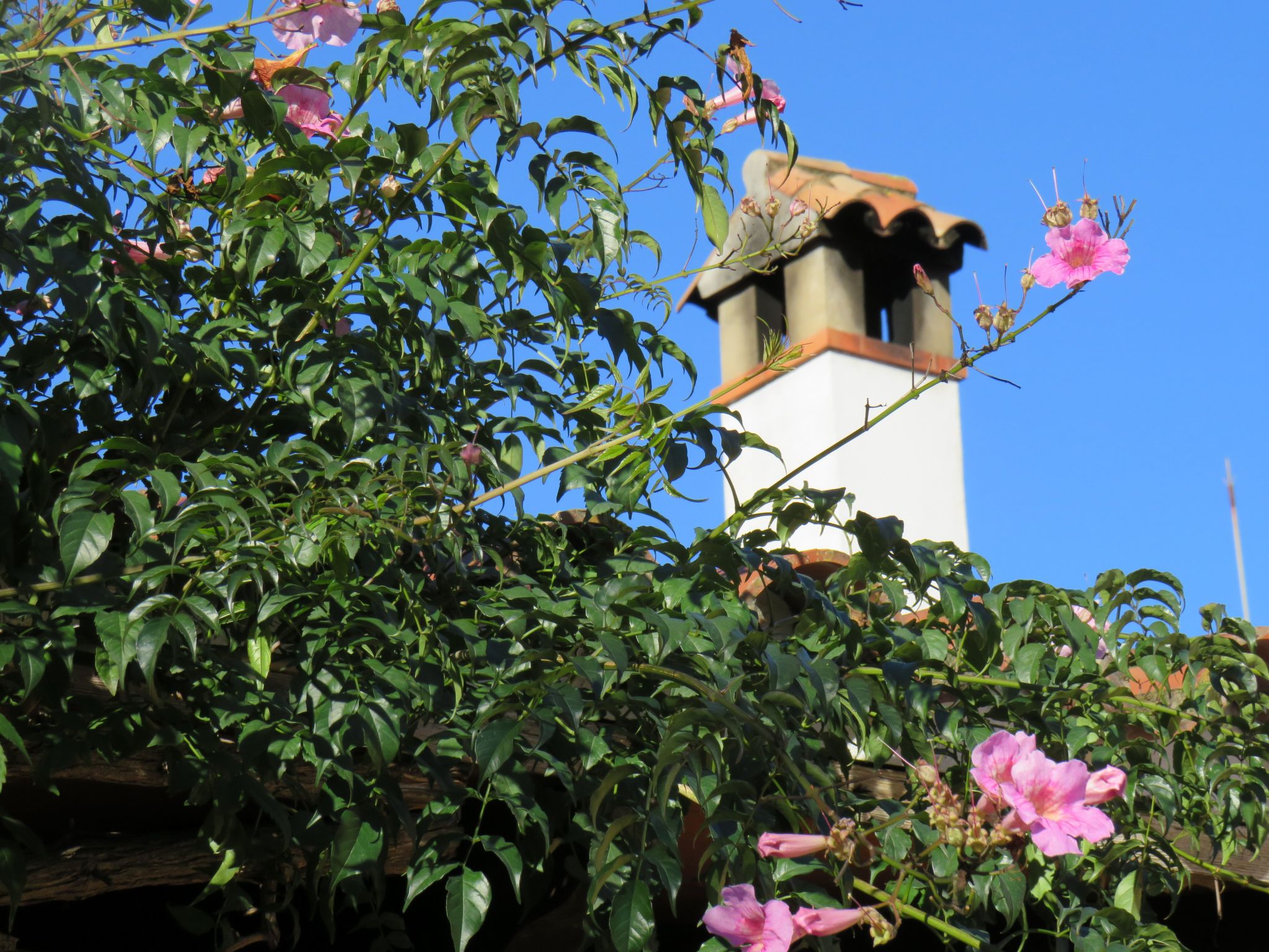 Appartement in San Pablo De Buceite mit Kleinem Garten-Dehors