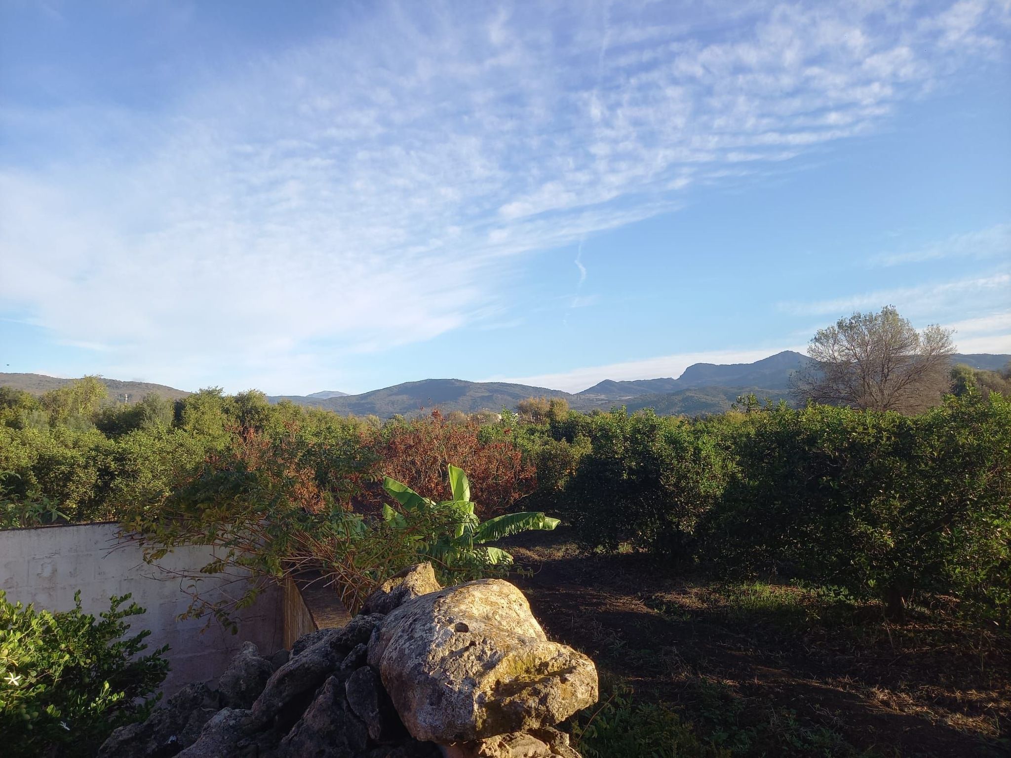 Appartement in San Pablo De Buceite mit Kleinem Garten-Dehors