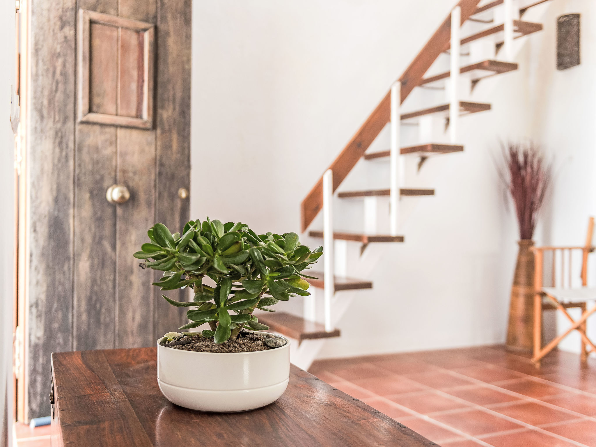 Wohnung mit großer Dachterrasse in Vejer - Dedans