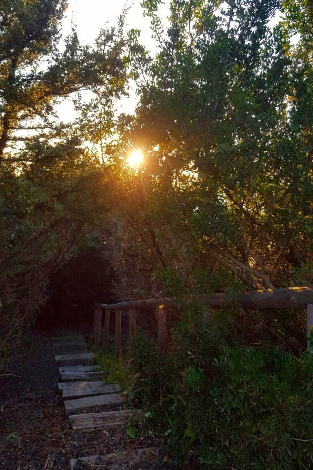 Villa "Casa Roche" mit Blick auf das Wasser-Dehors
