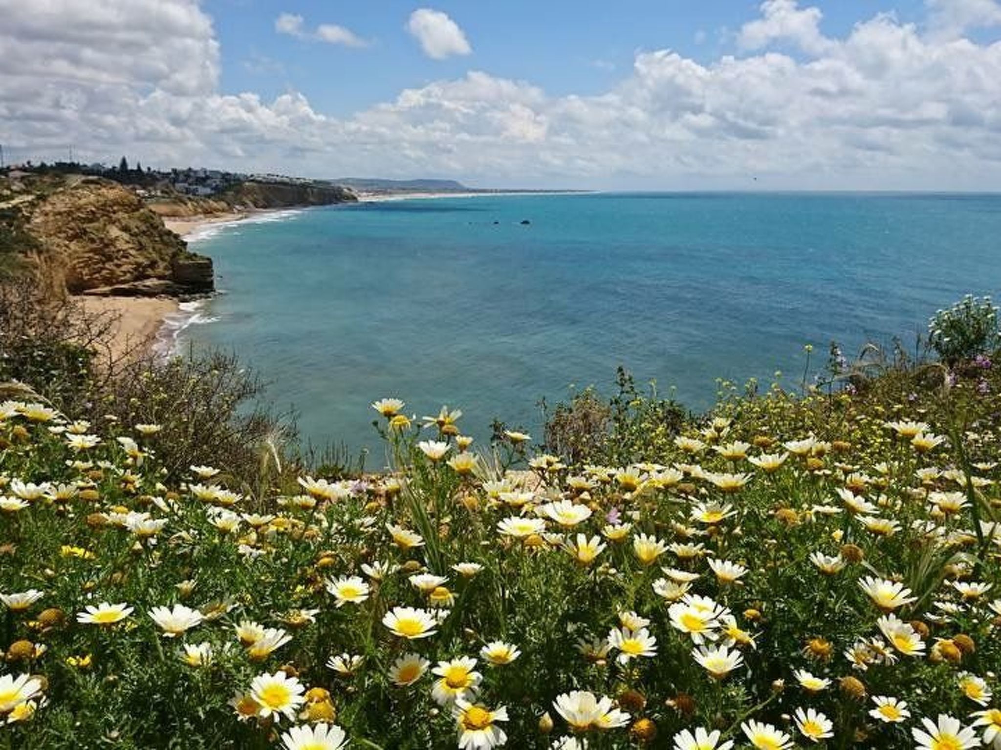 Helle und geräumige Wohnung in Conil-Drinnen